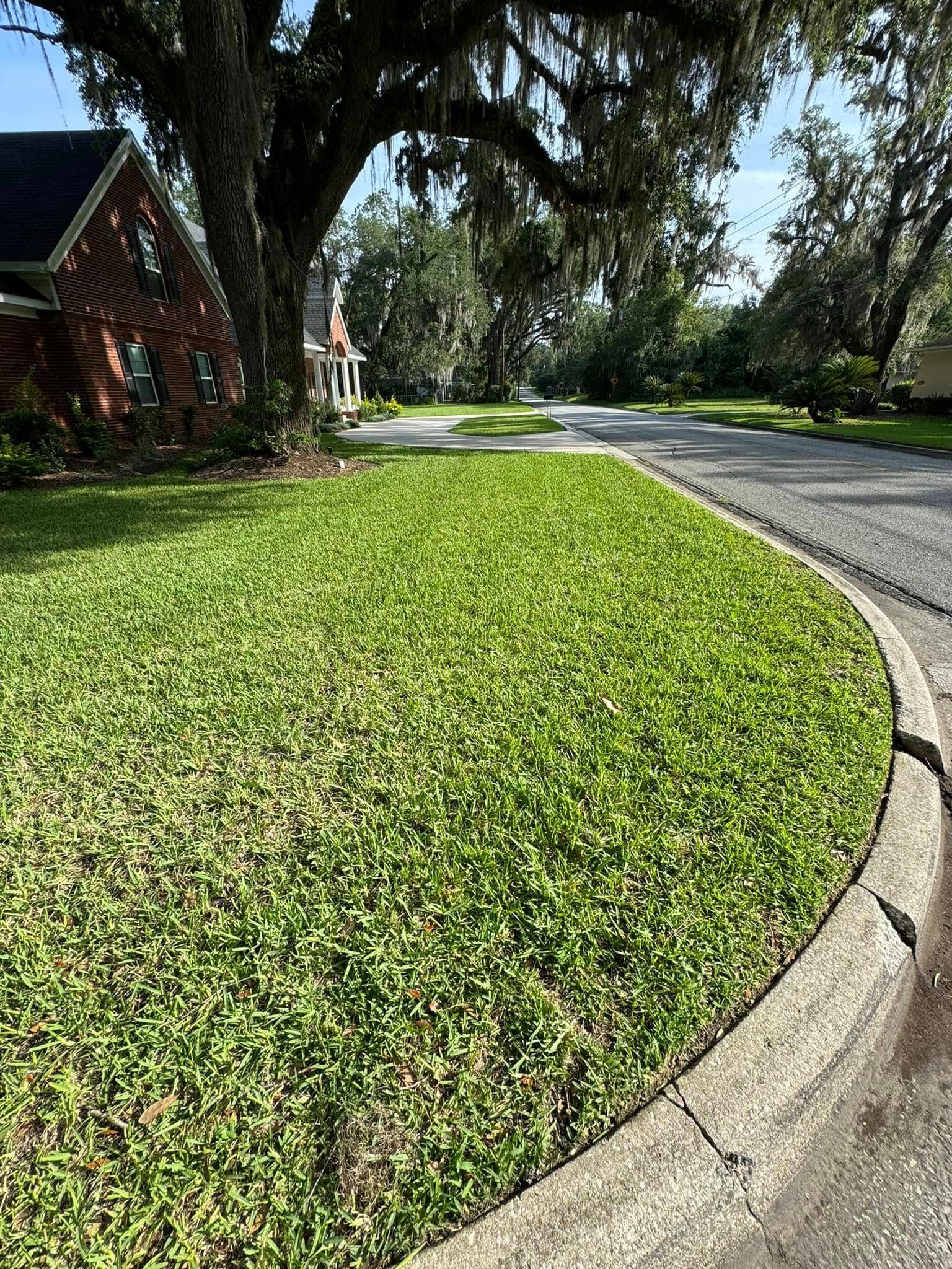 All Photos for Young's Lawn Services LLC in Ocala, FL