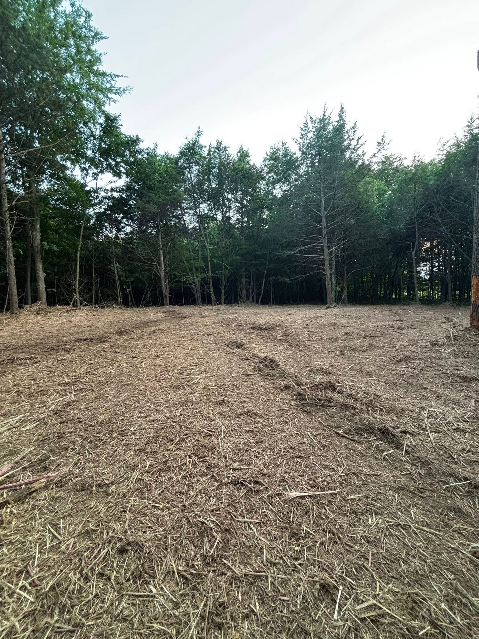  for JC Land Clearing in Shelbyville, TN