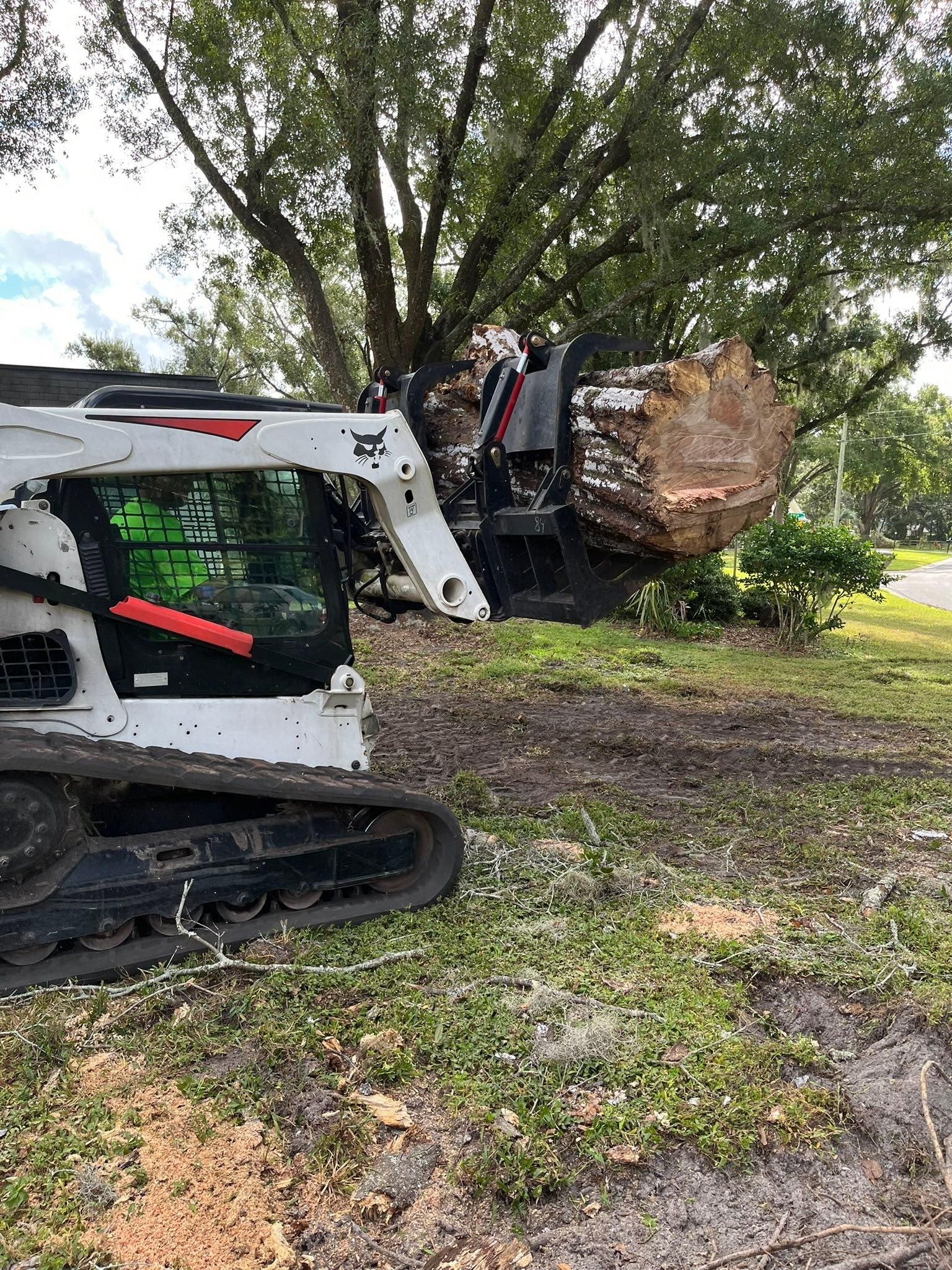  for Bills Tree Service in Valrico, FL