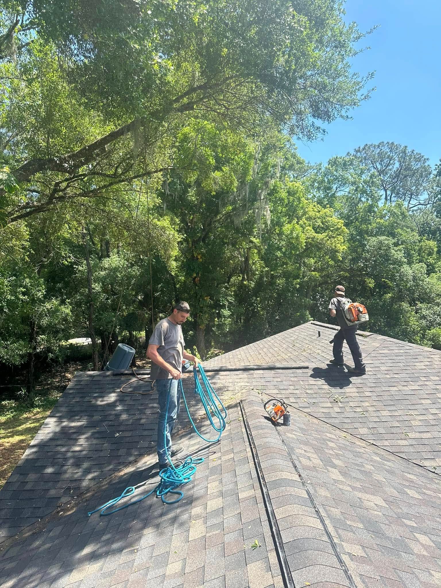  for Narrow Path Tree Service in Deland, FL