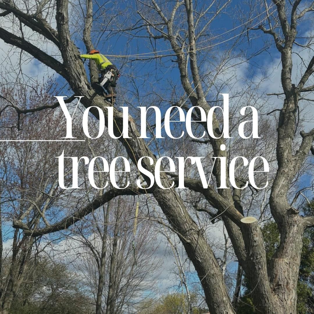  for Oakwood Tree Removal LLC in Oak Creek,  WI