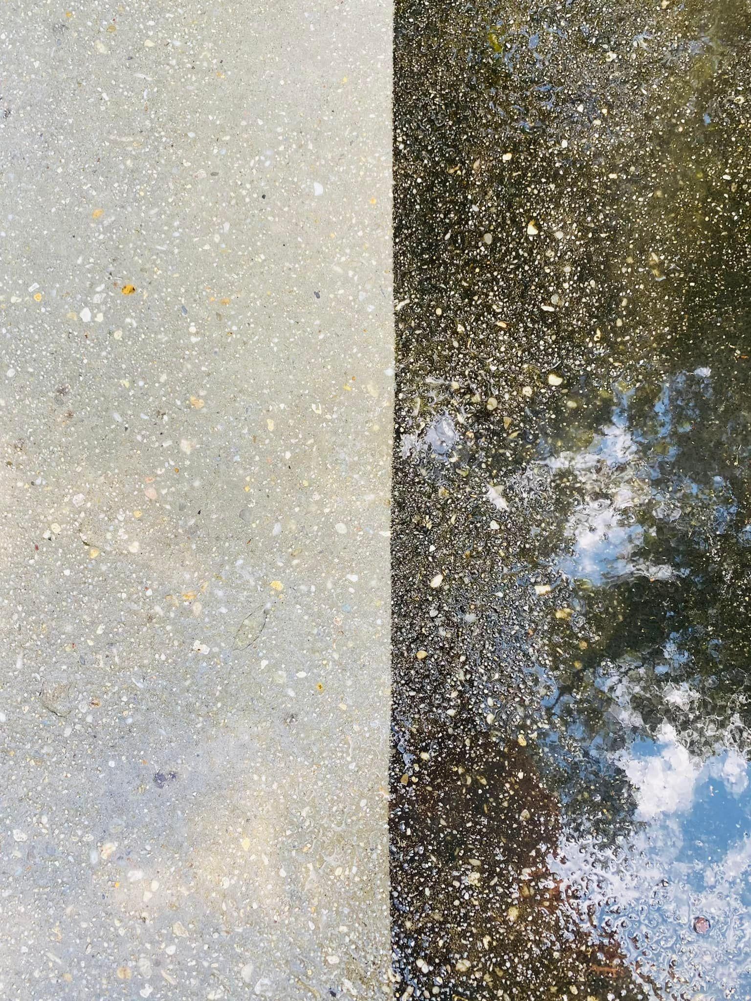  for All-Star Lawn Care & Soft Washing in Mobile, AL