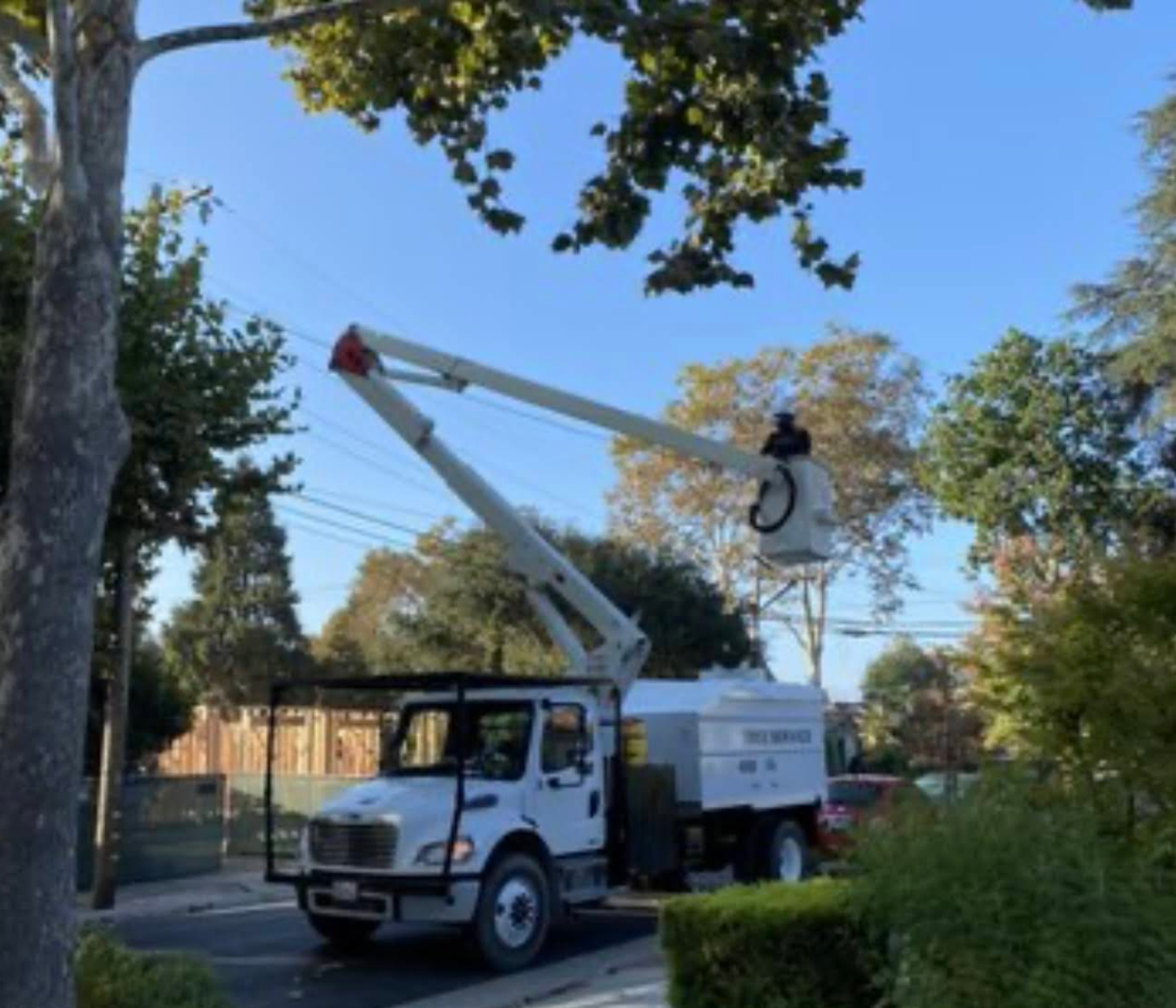  for A1 Tree Care in San Jose, CA