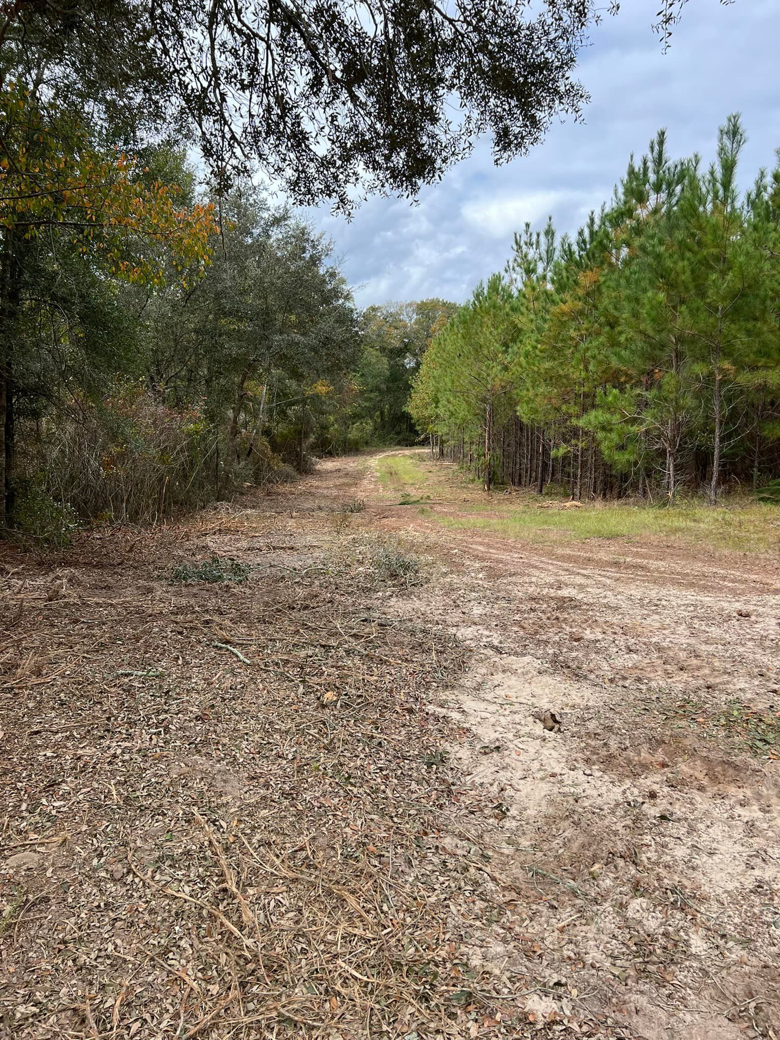  for Thompson Forestry Mulching & Stump Grinding in Douglas, GA