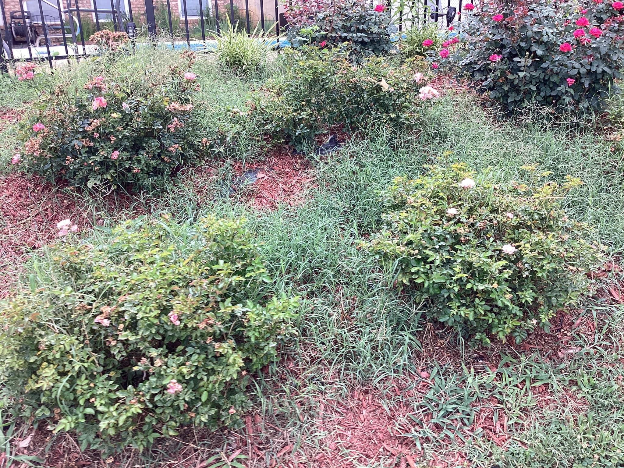  for Xtreme Landscaping & Lawn Care in Lincoln, AL