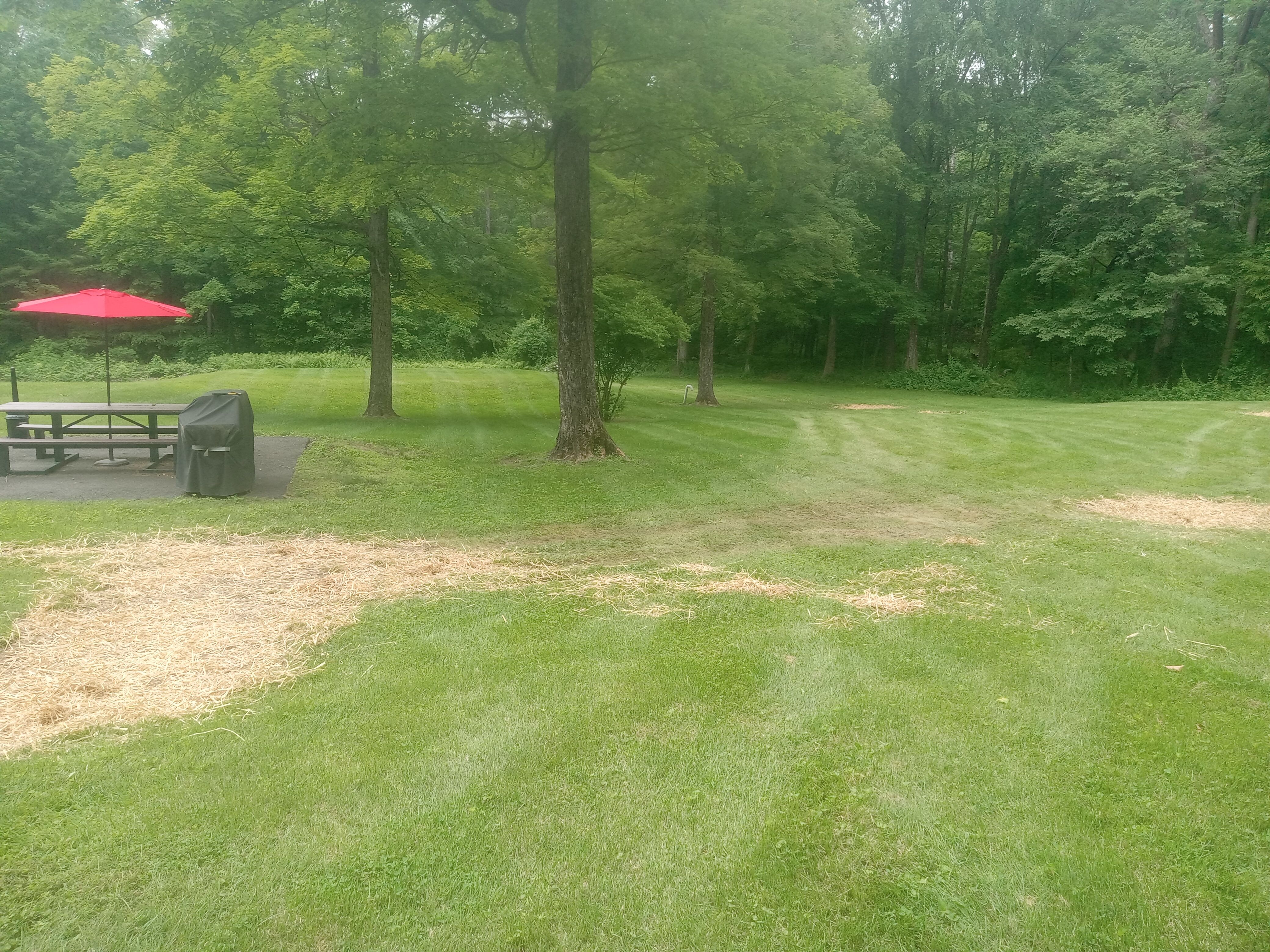  for K Brown's Property Maintenance in Pittsfield, MA