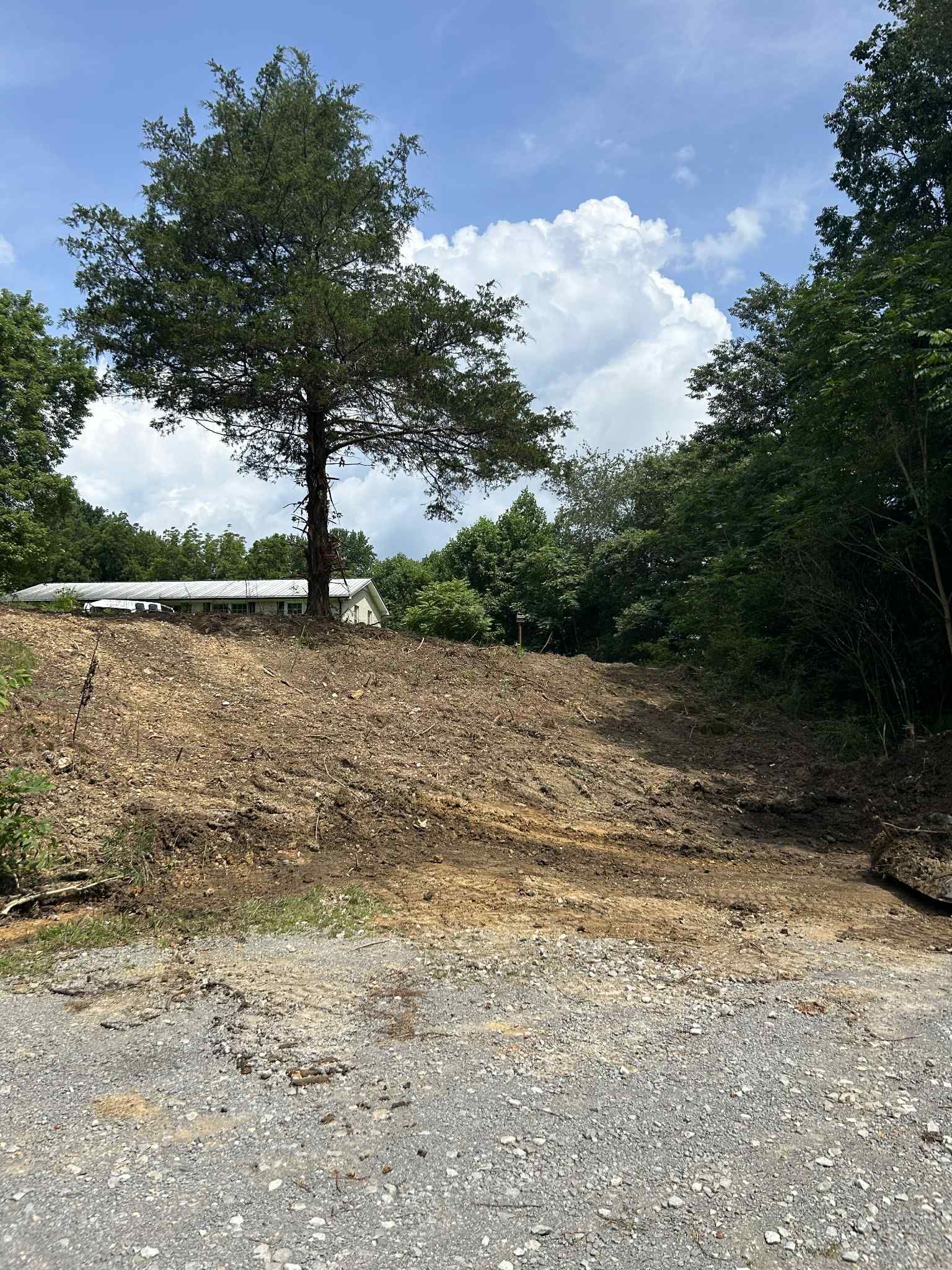  for Z's Land Management & Forestry Mulching in Smithville, TN
