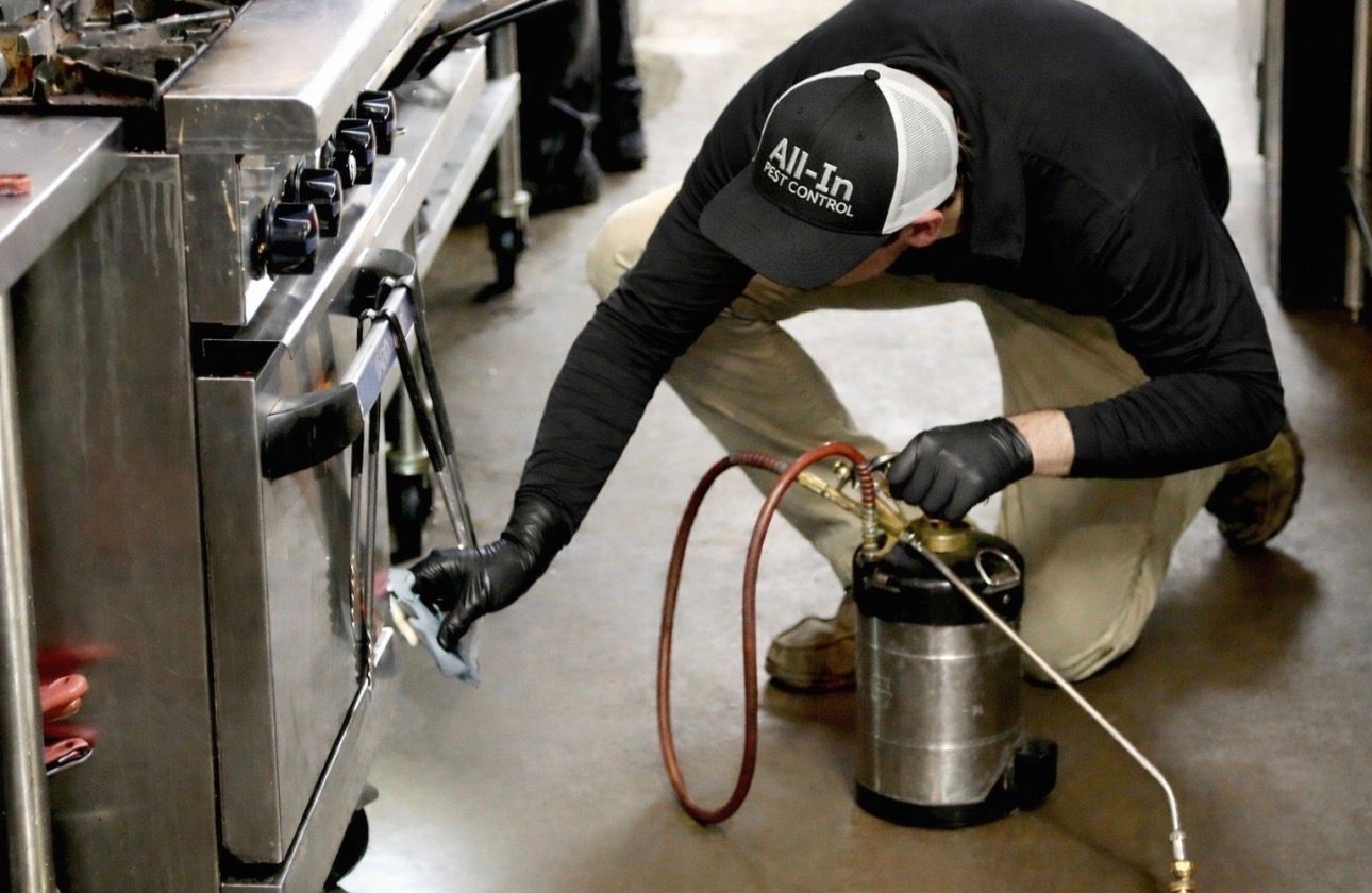  for All-In Pest Control & Home Solutions in Greene County, IN