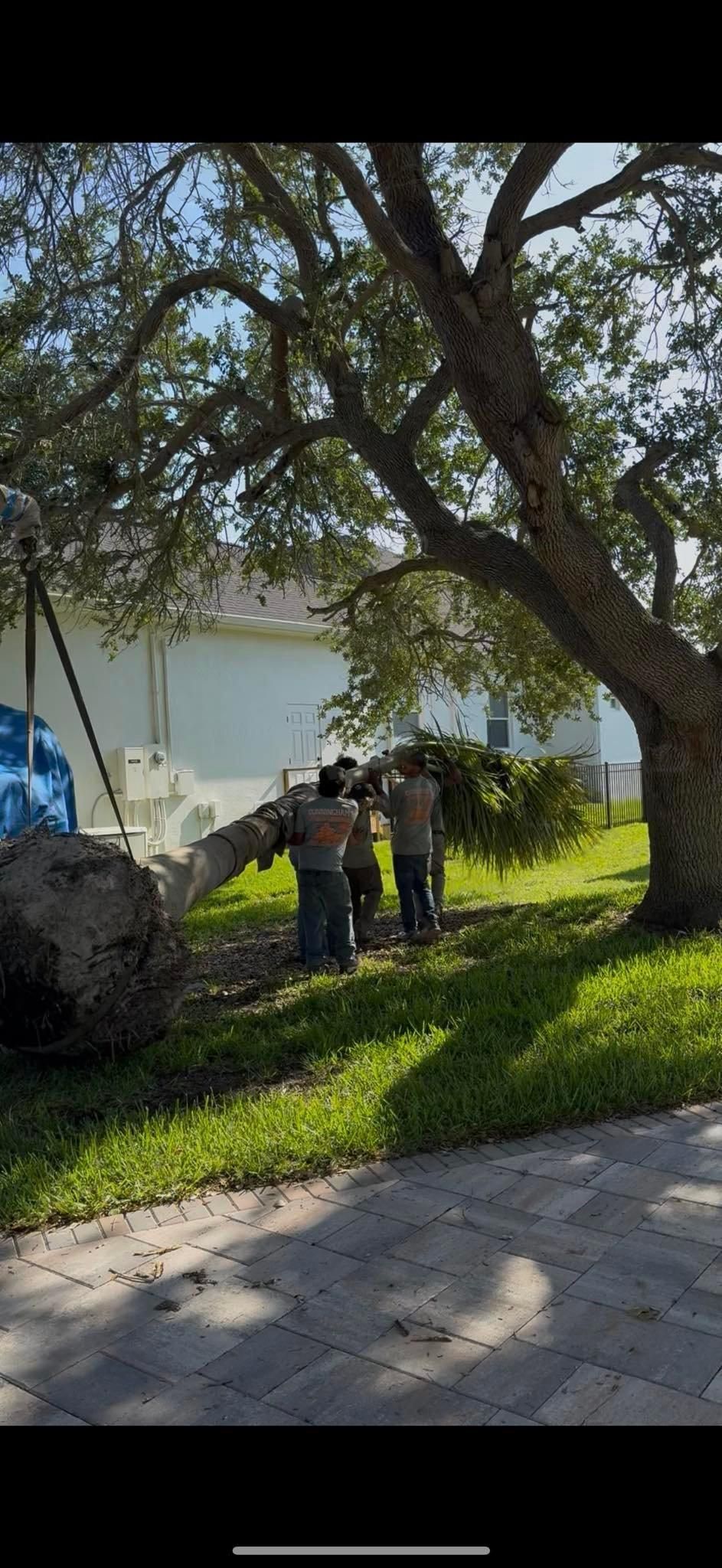  for Cunningham's Lawn & Landscaping LLC in Daytona Beach, Florida