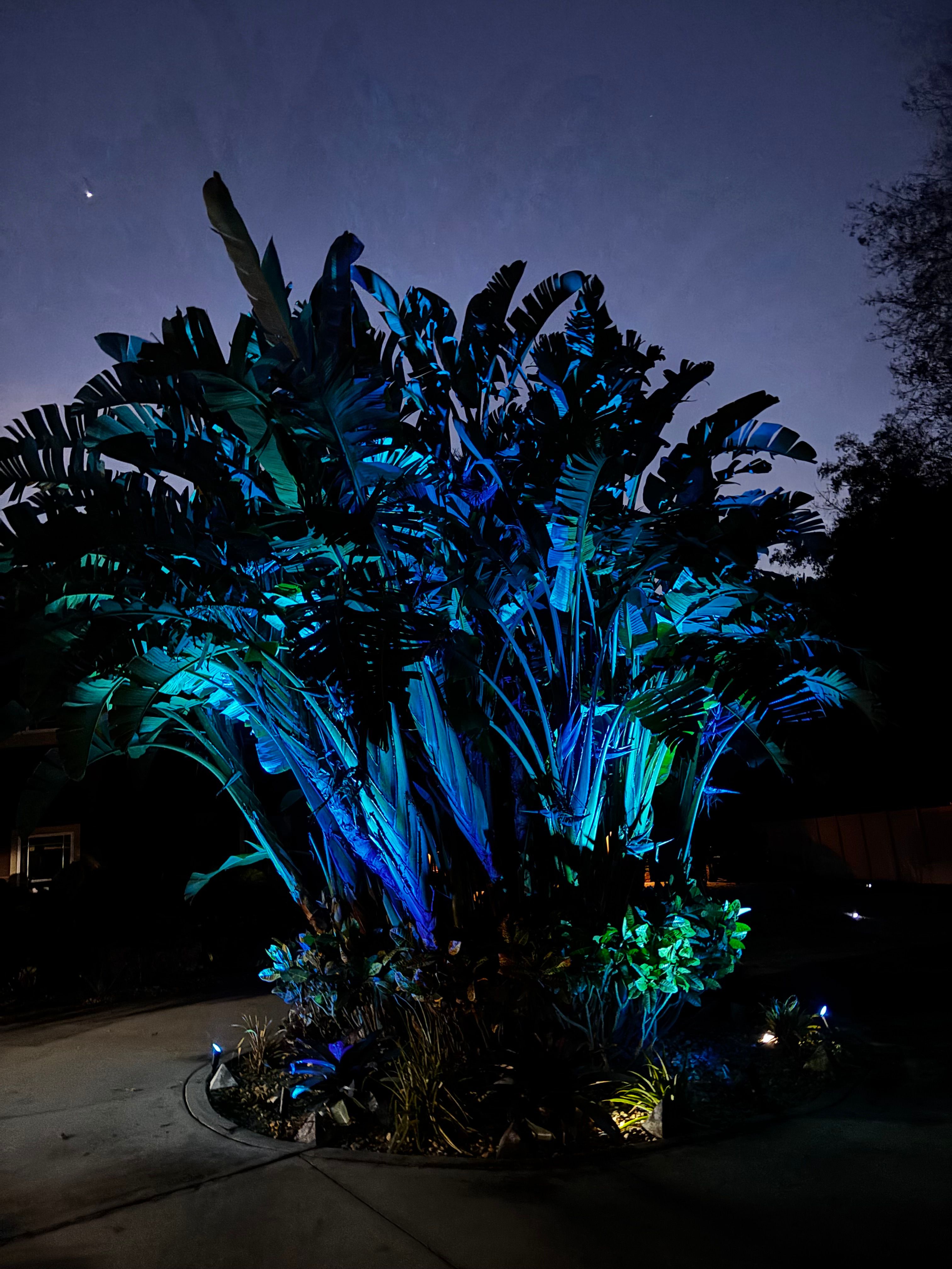  for Vanic's Landscaping in Port Orange, FL