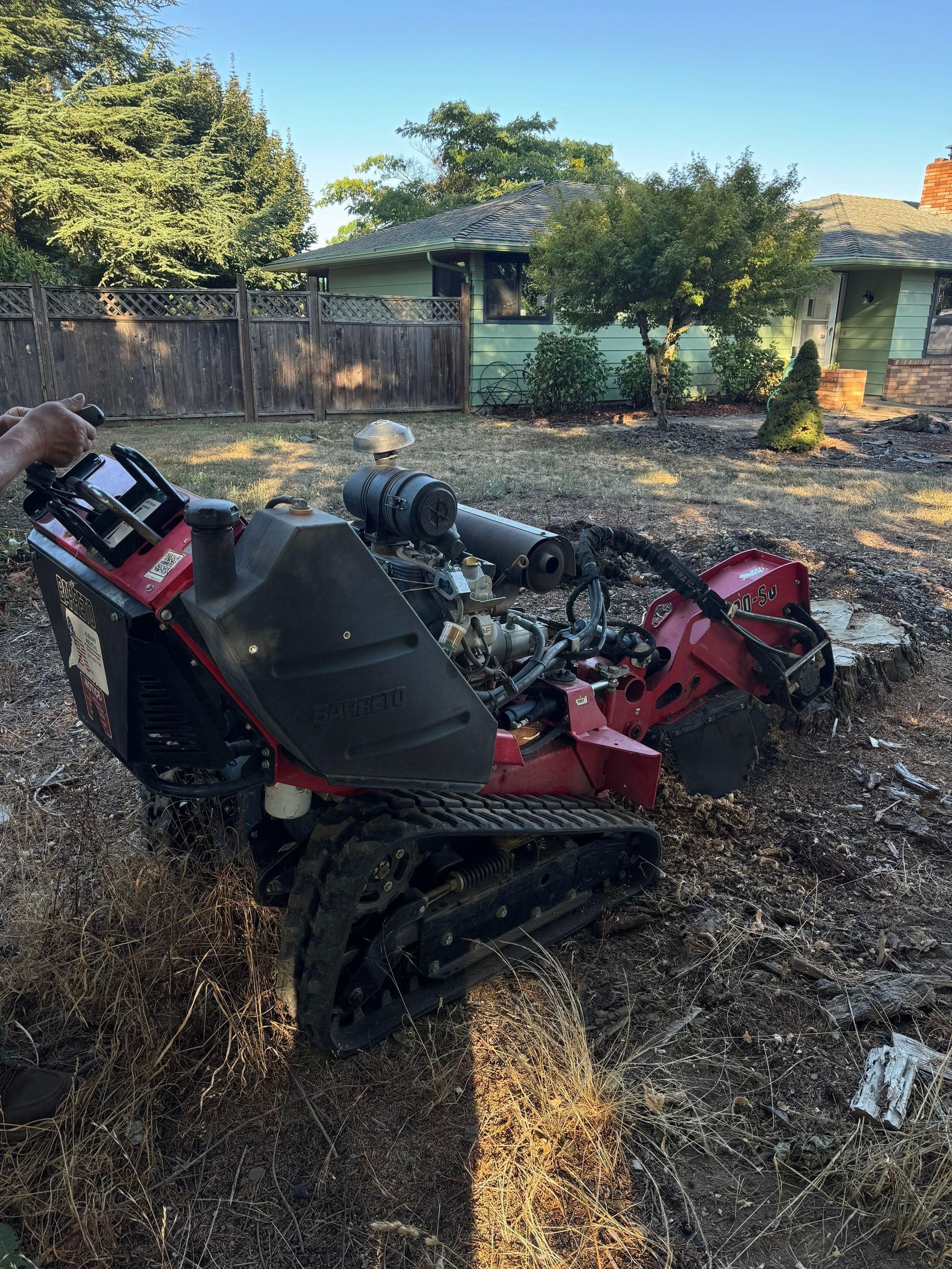 Stump grinding for Willamette Landscaping and Tree Services in Albany, OR