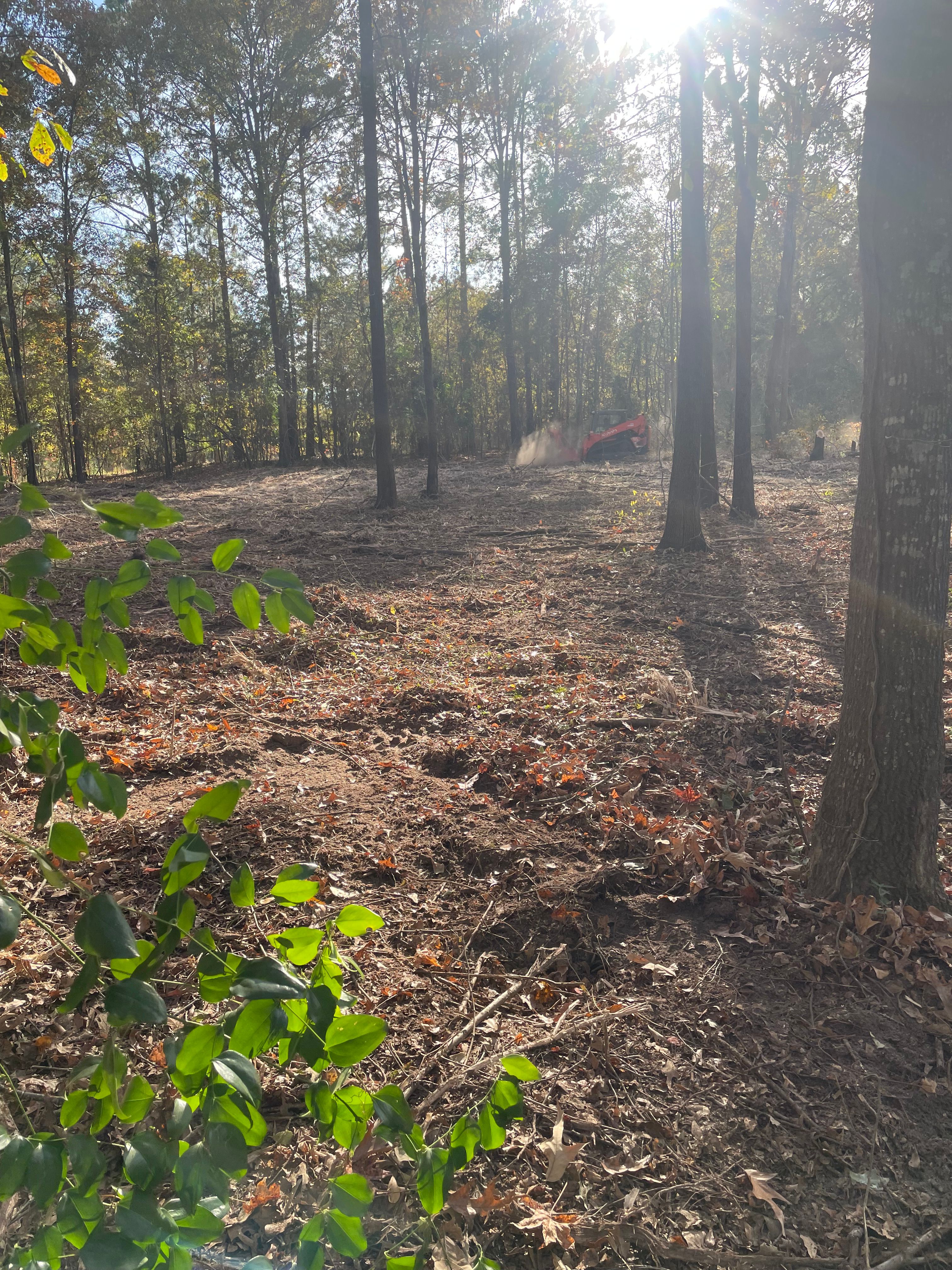  for JA Clearing  in Pageland, SC