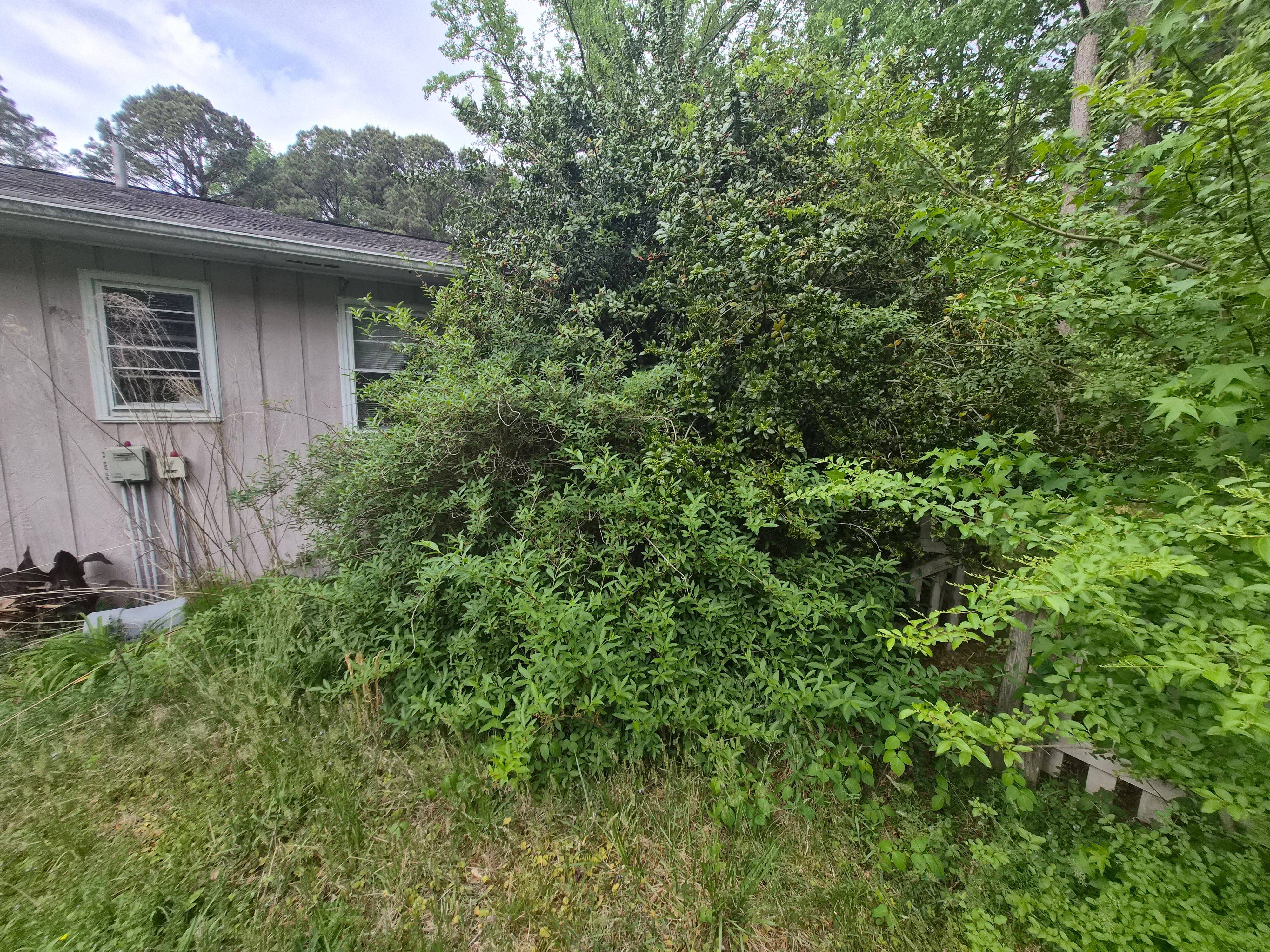 All Photos for 4 Points Lawncare LLC in Hayes, VA