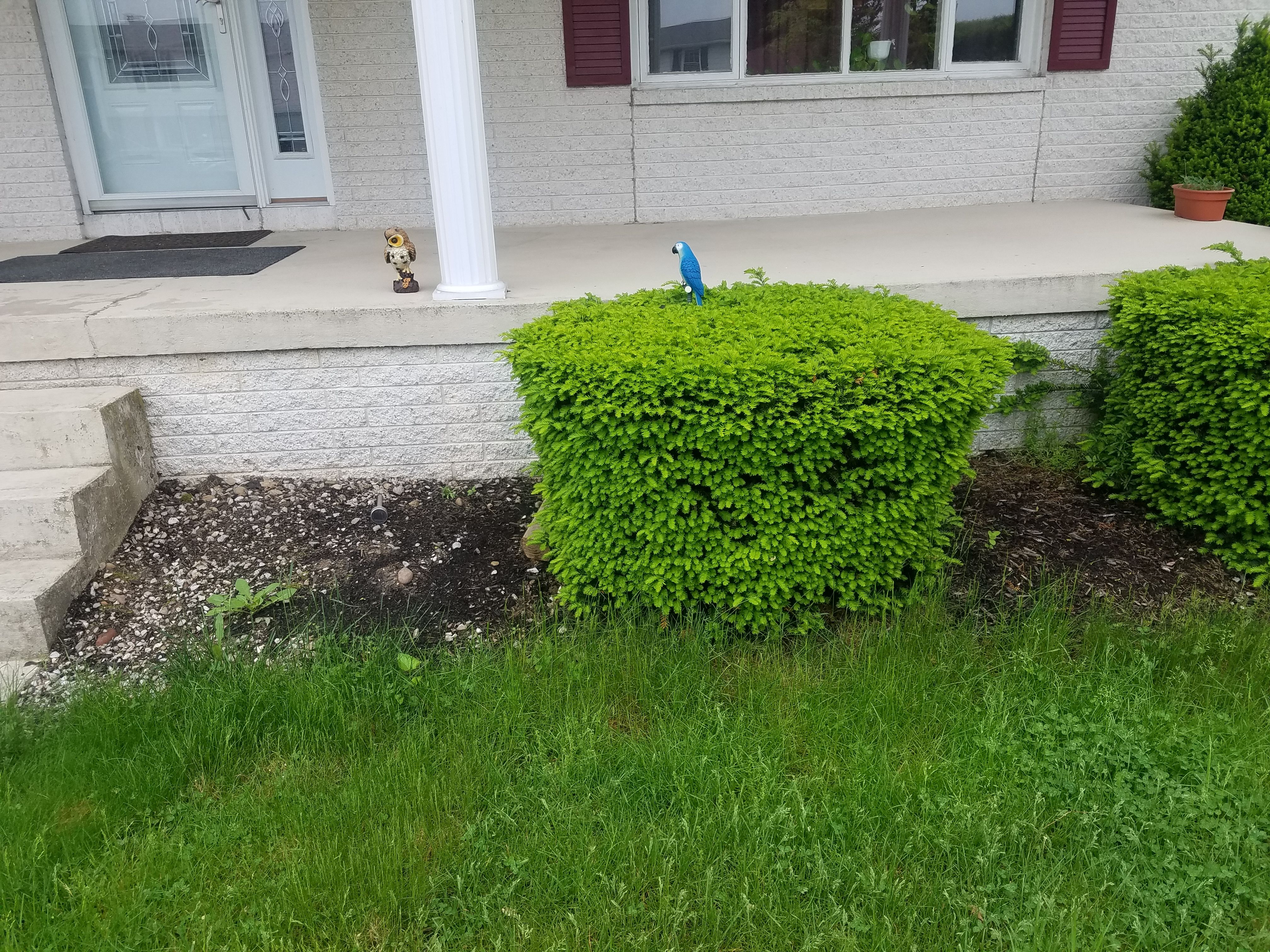  for Down Home Landscaping in Stillwater, PA