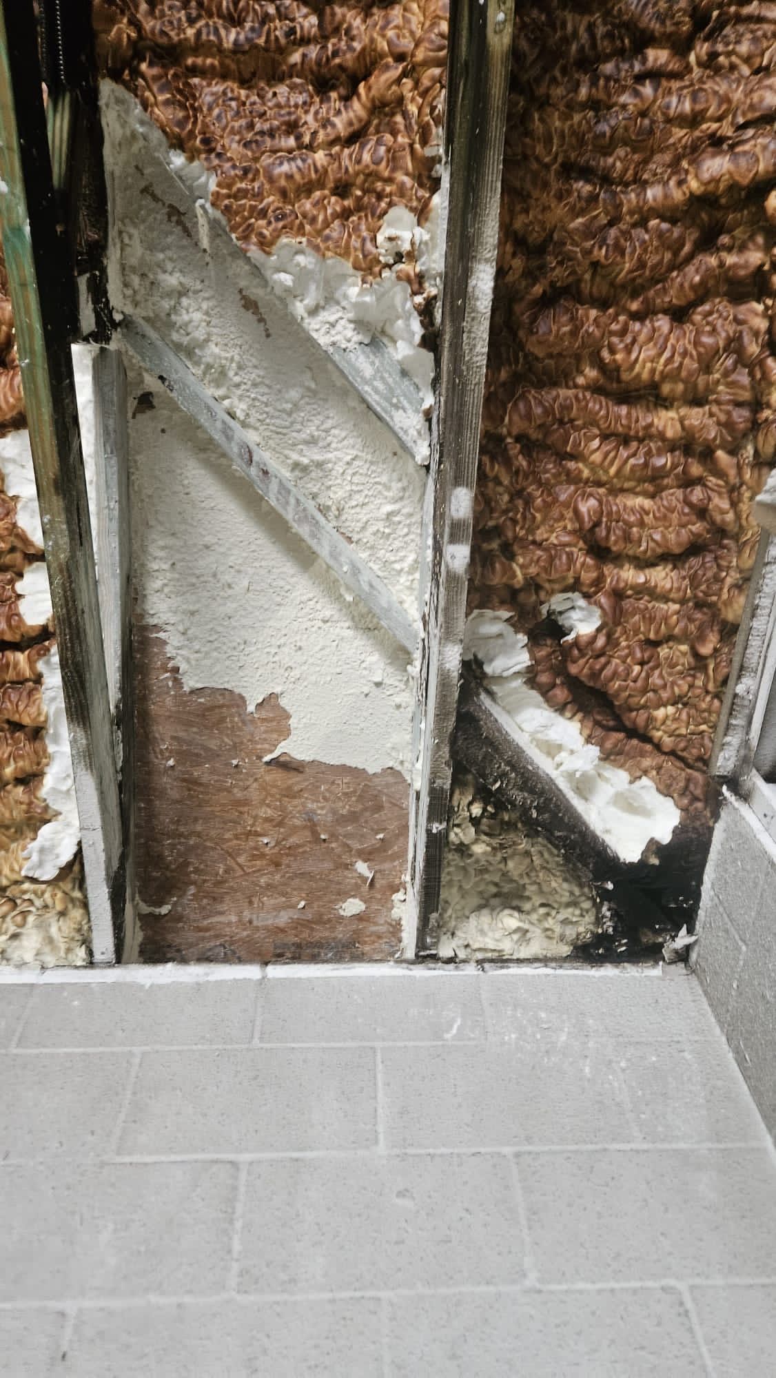  for N&D Restoration Services When Disaster Strikes, We Come In in Cape Coral,  FL