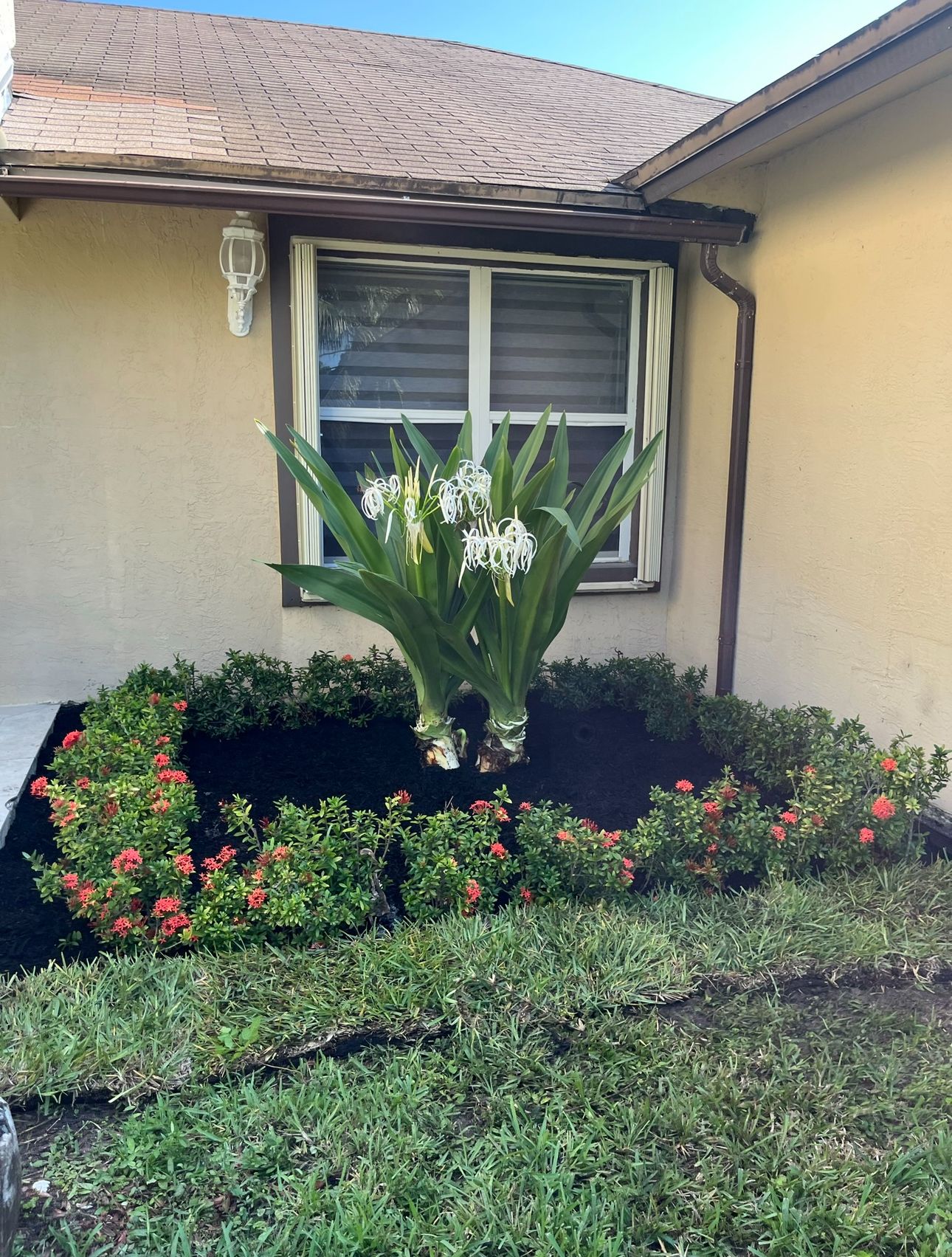 for Green Earth Landscaping & Lawn Care in West Palm Beach,  FL