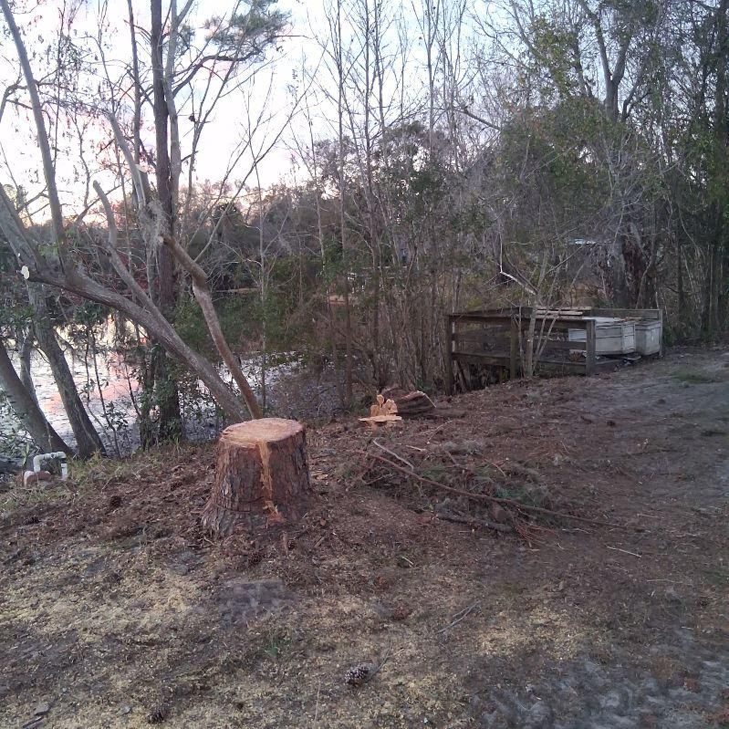  for Perfect Cut Lawn & Tree Care in Citrus County, FL