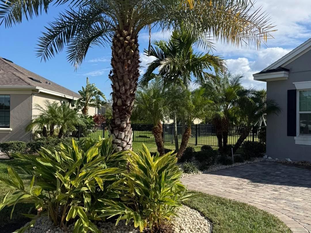 Lawn Maintenance for Florida Pro Turf in Rockledge, FL