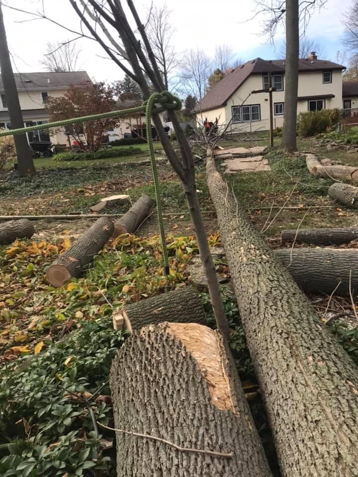  for S.H. Tree Service LLC in Hilton, NY