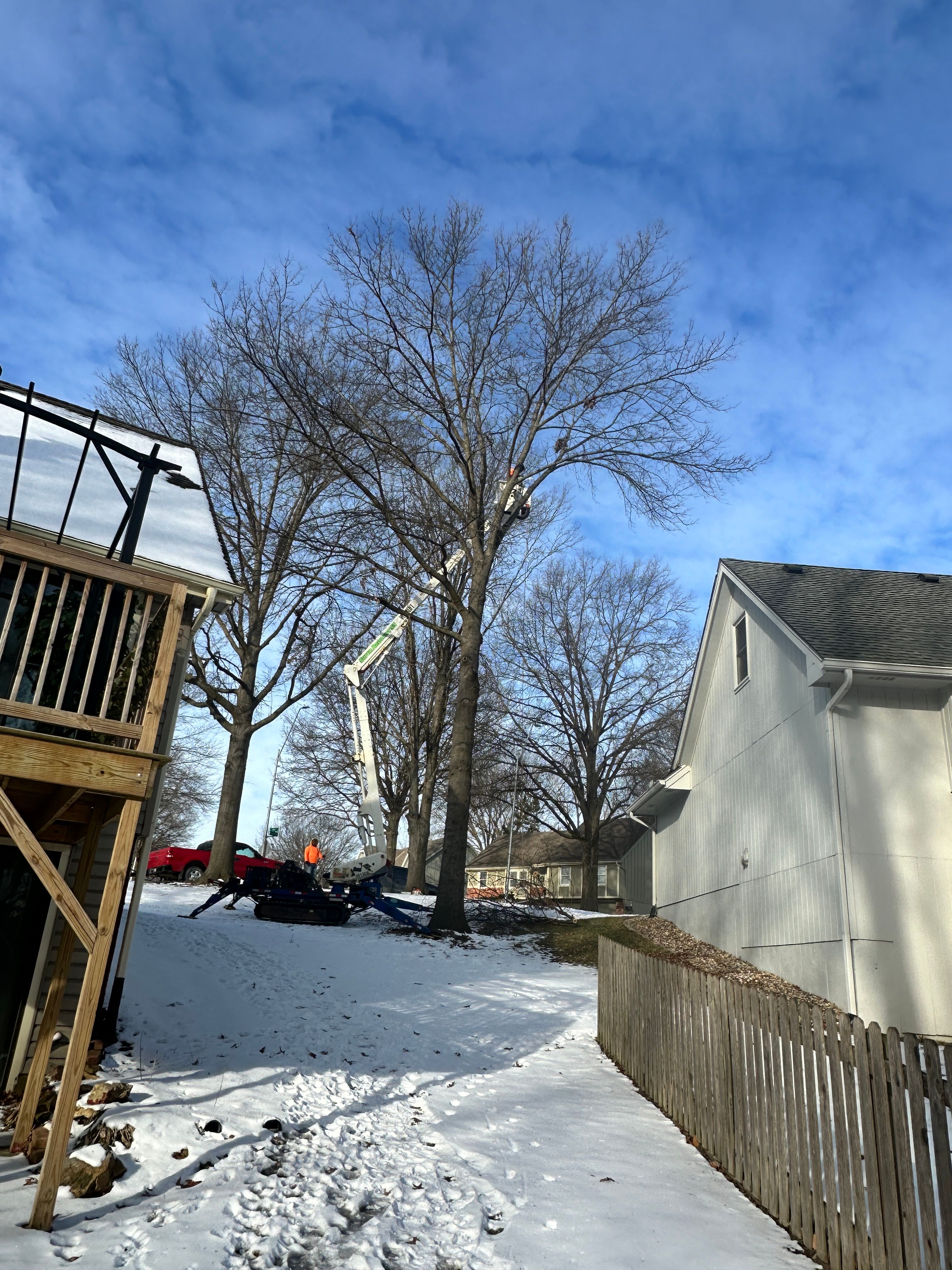 All Photos for Cross Family Tree Service in Kearney, MO