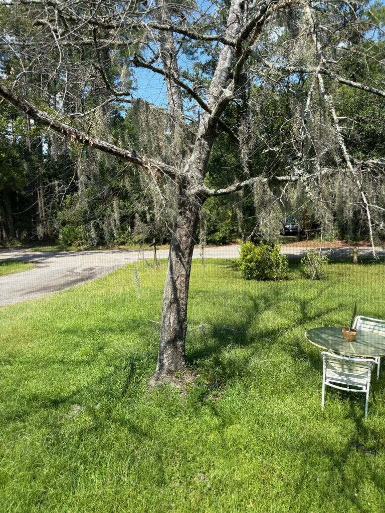 Tree Removal for Hawkins Tree Service & Land Management in Richmond Hill, GA