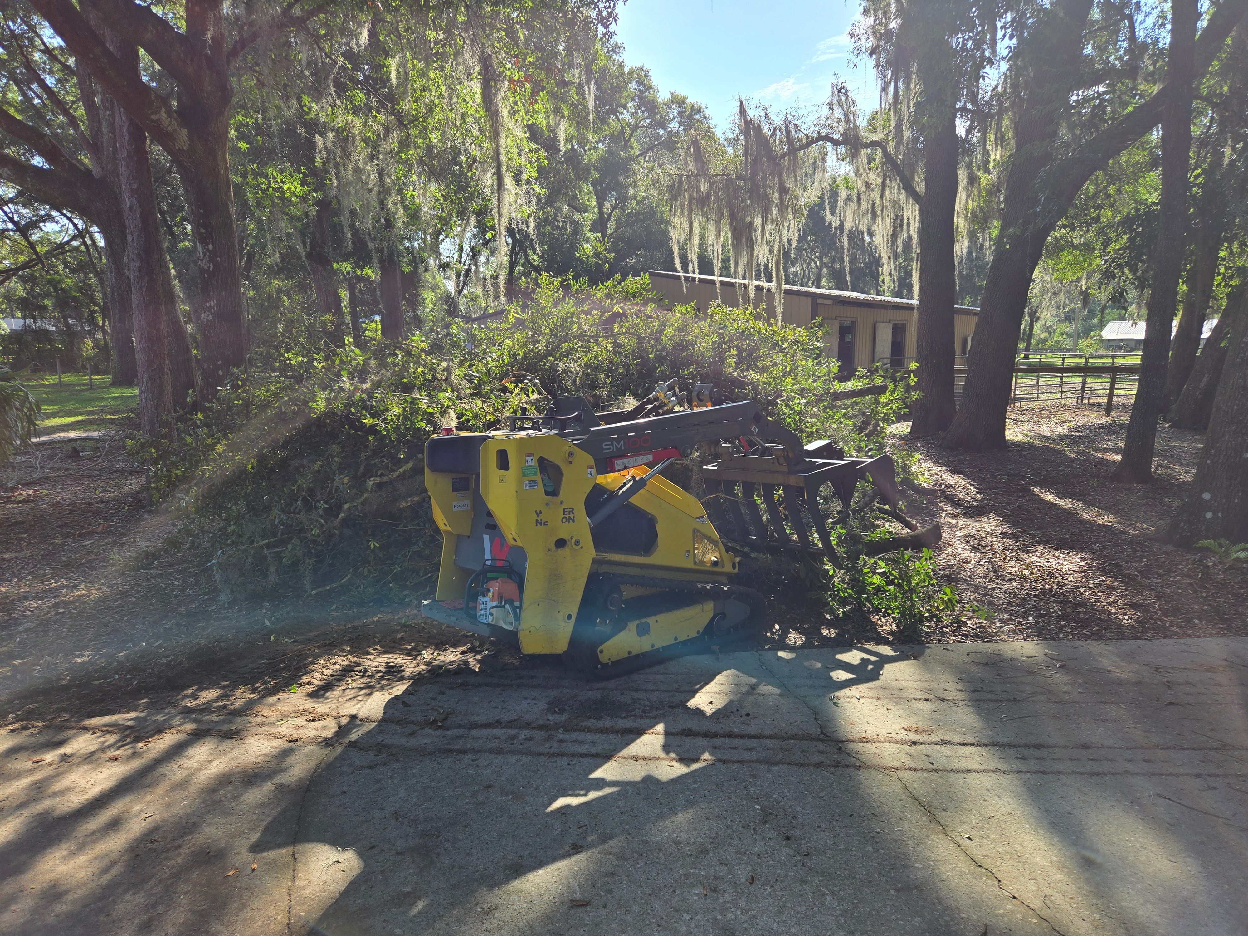 All Photos for Near Me Tree Service, Inc. in DeLand, FL