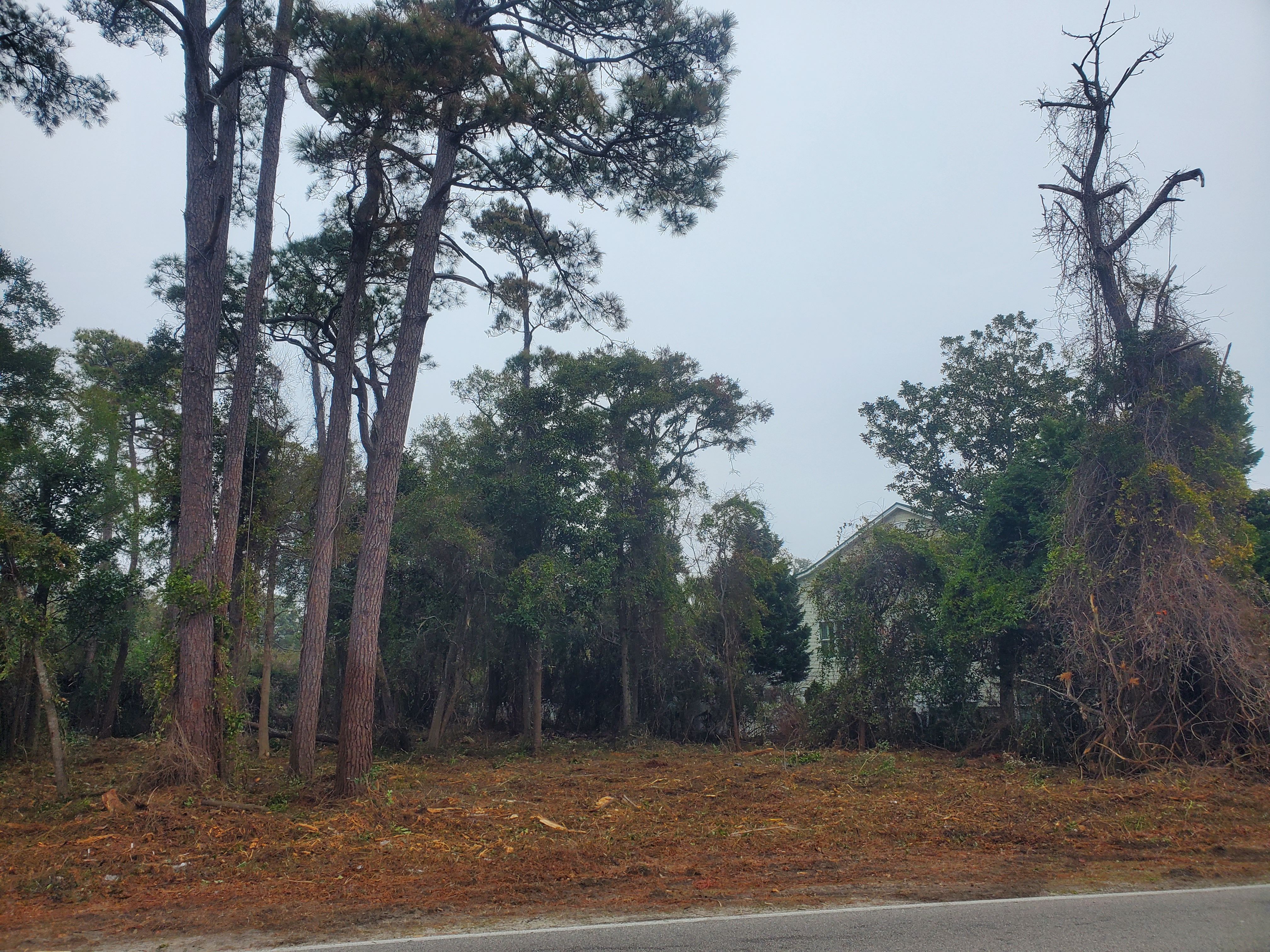 All Photos for TJ Farm and Land Management in Loris, SC
