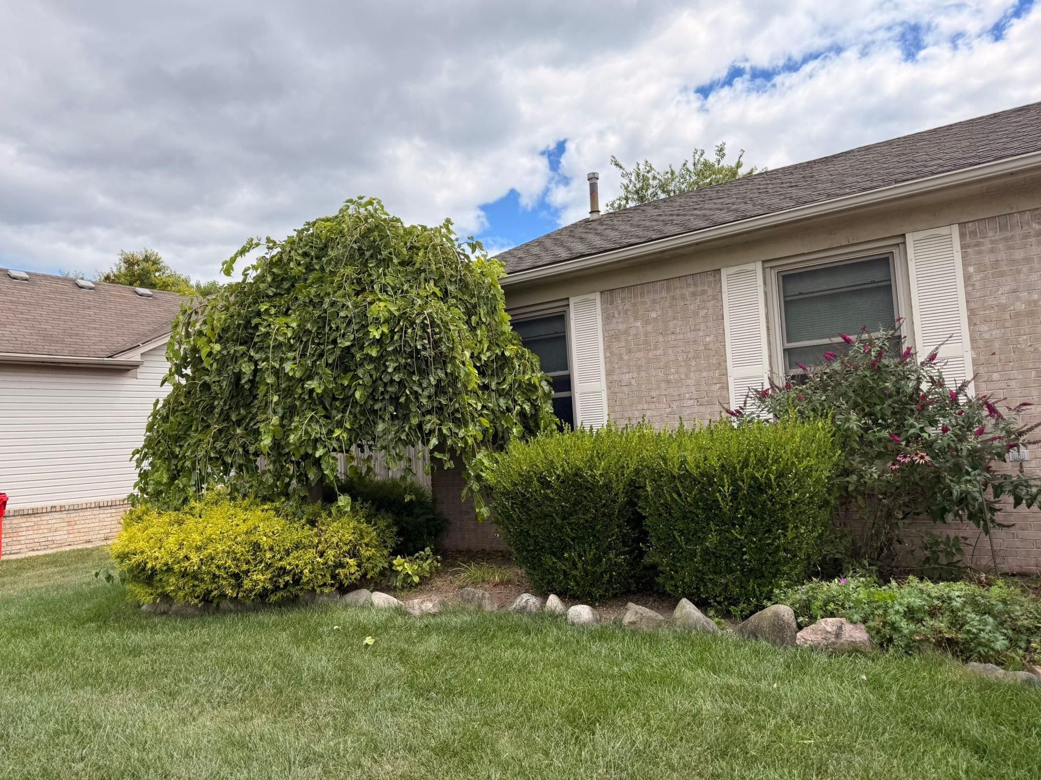  for Macomb Co. Outdoor Services in Macomb County, MI
