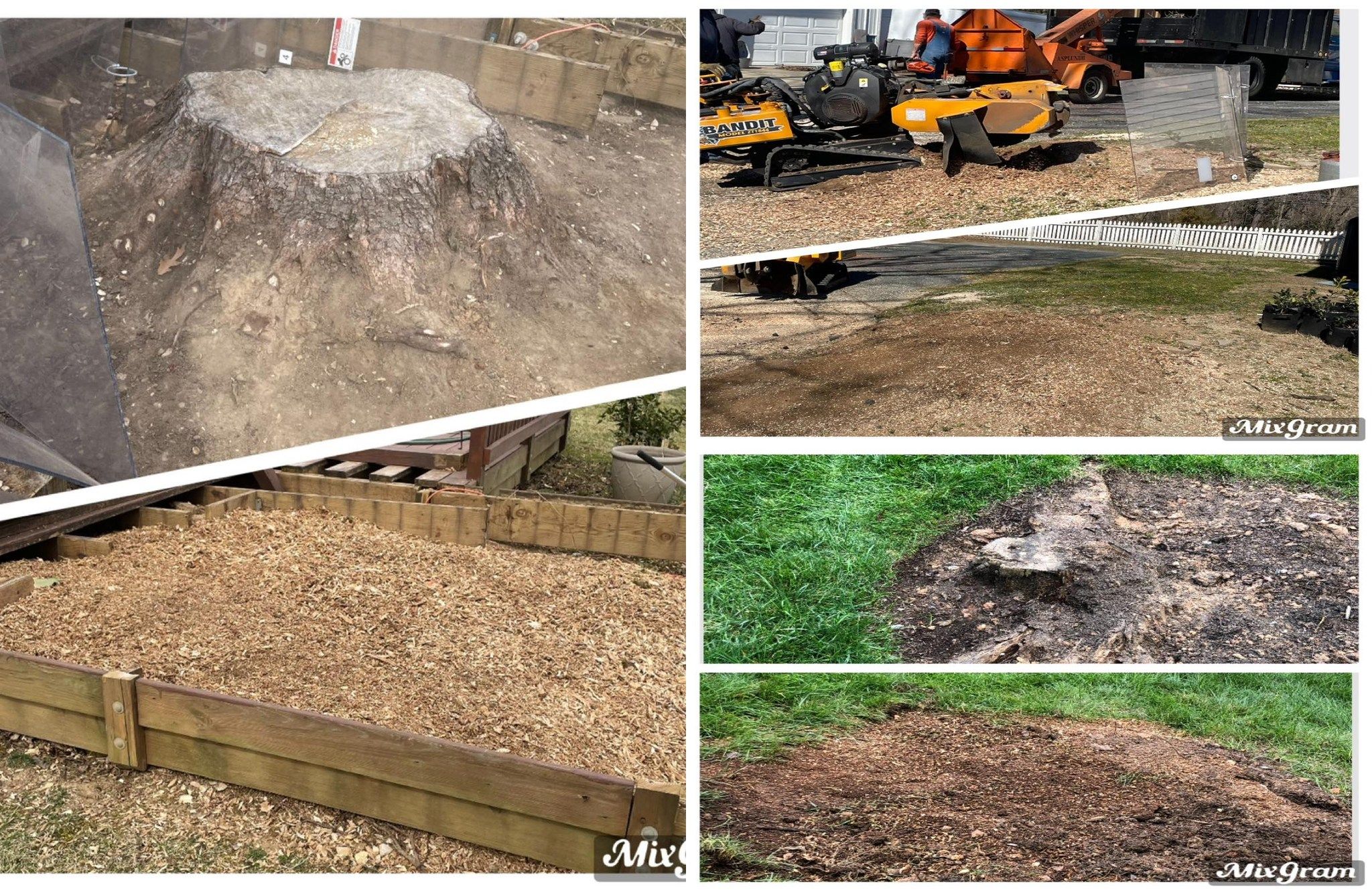 All Photos for Mad Dust Stump Grinding in Howard County, MD