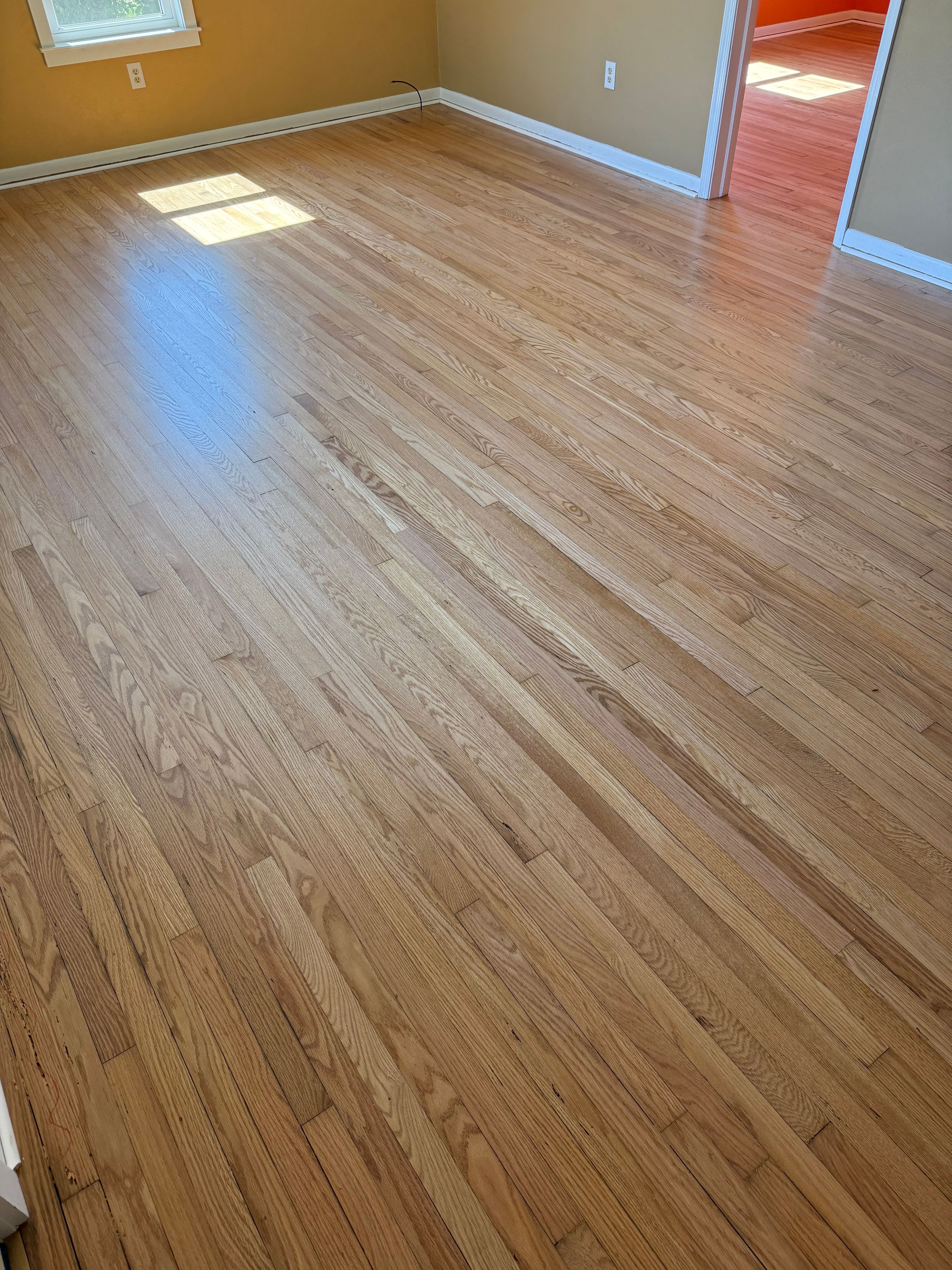  for Finely Finished LLC in Wyoming, DE