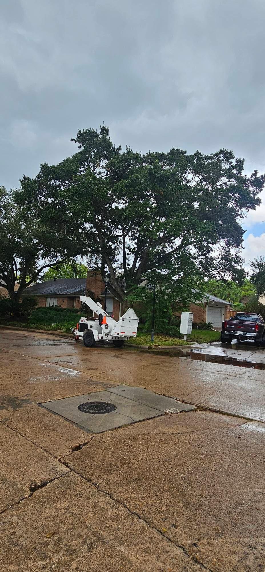  for Servin's Tree Care  in Houston, TX