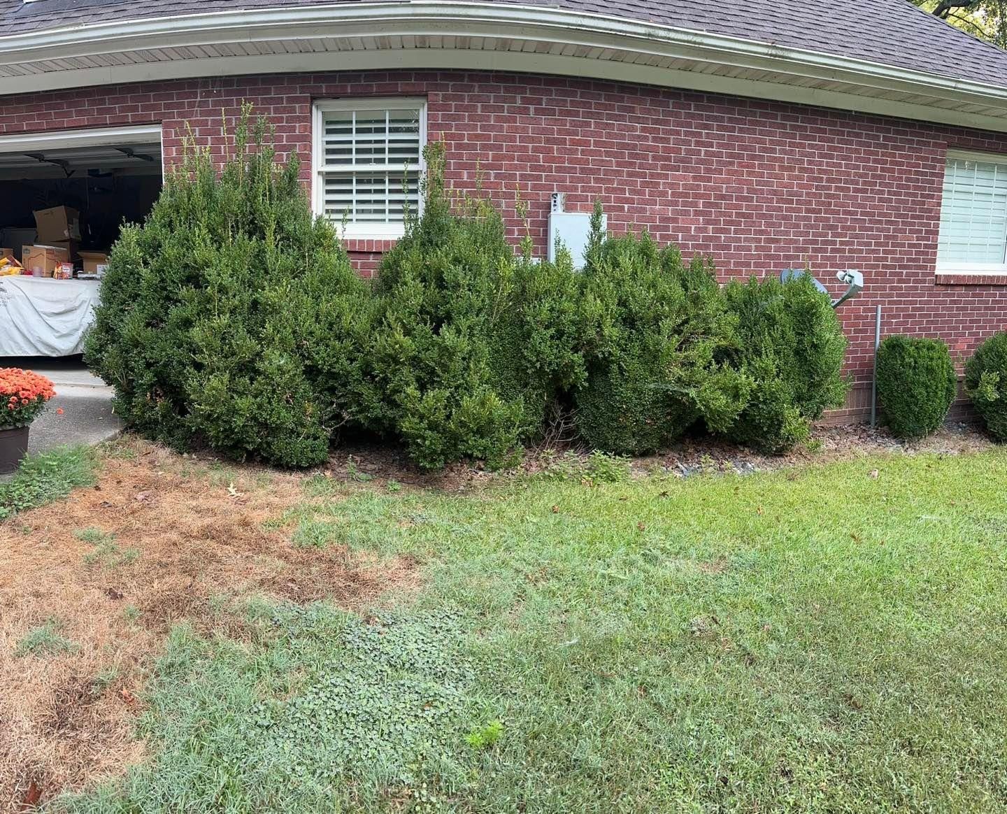  for Worsham Landscaping and Pressure Washing LLC in Social Circle, GA