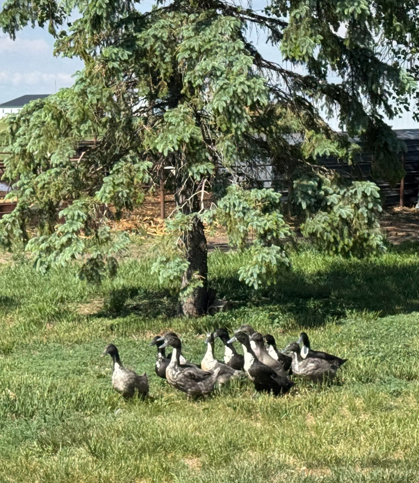  for HDE Services LLC in Grand Island, NE