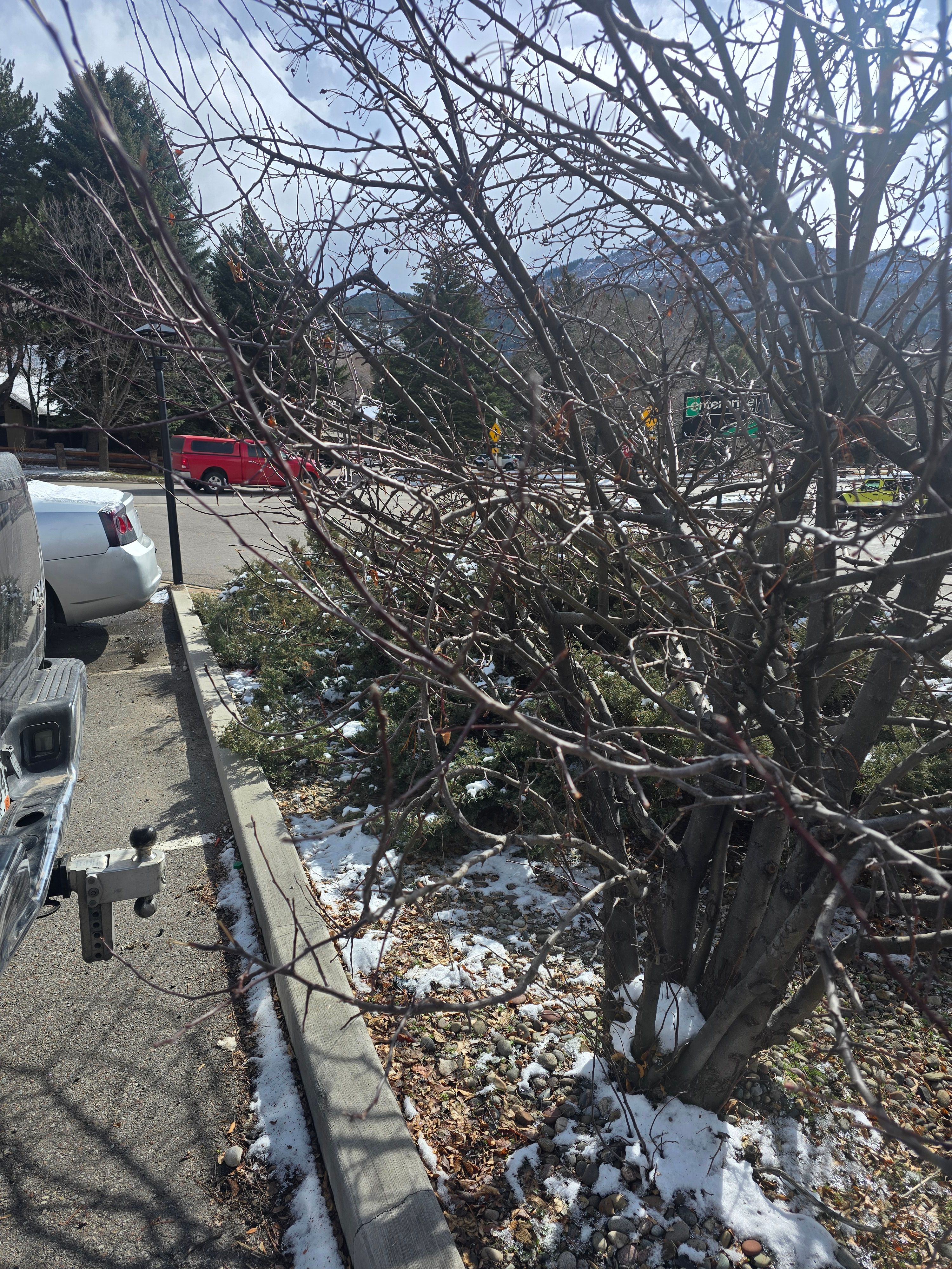 All Photos for LRS: Landscape, Rescue, Snow in Silt, CO