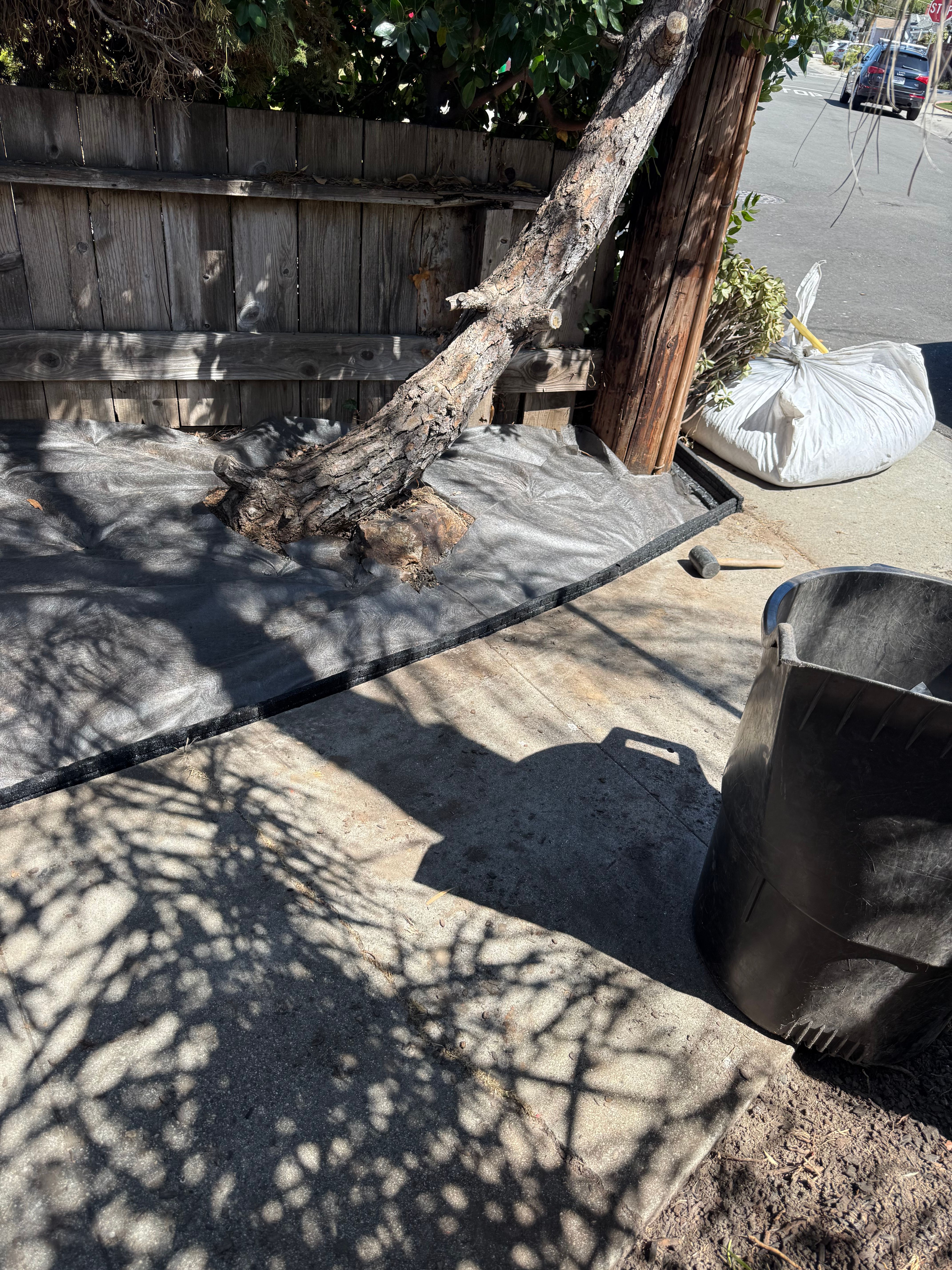  for CBA Landscaping in Hayward, CA