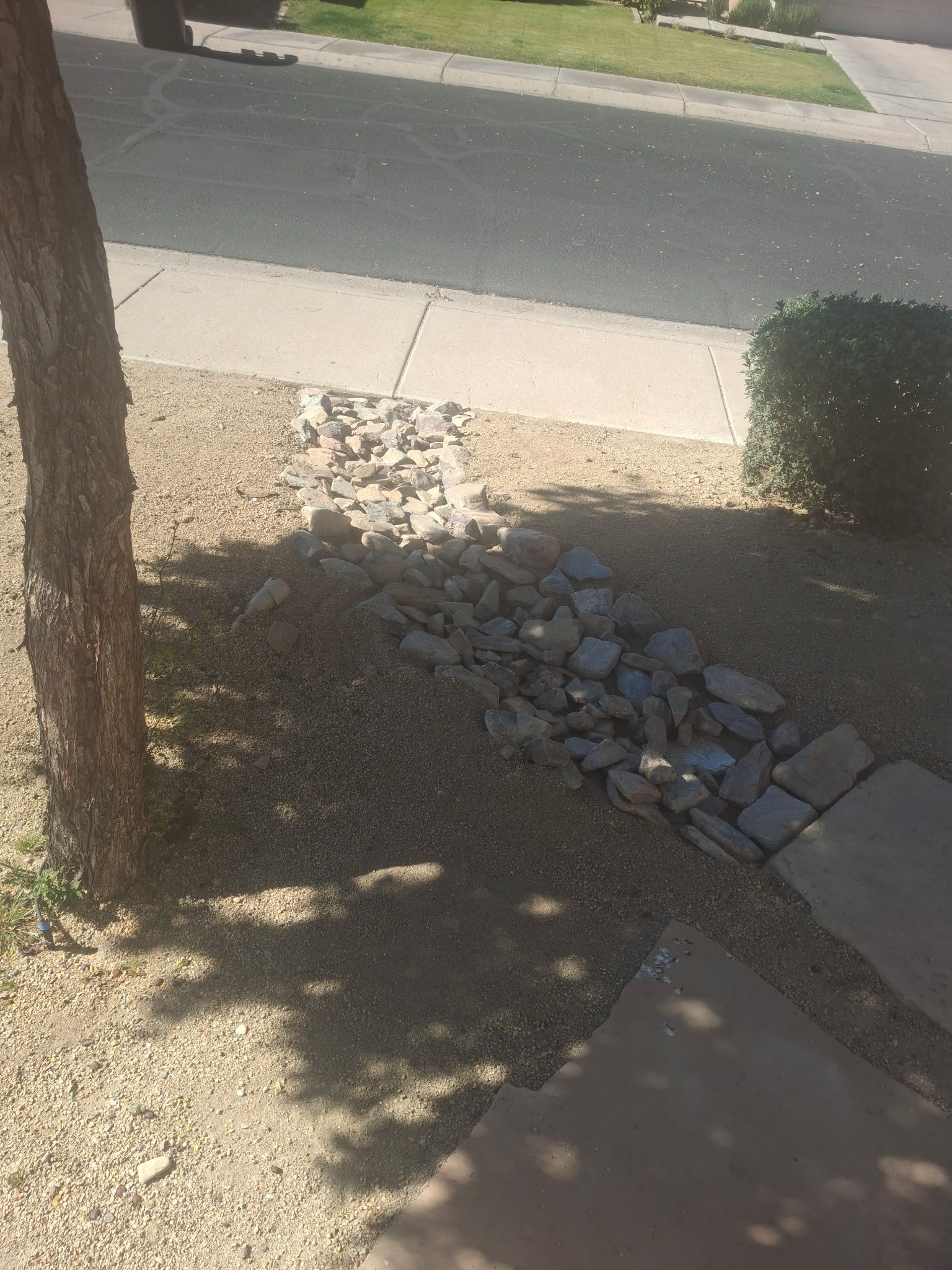  for Family Landscaping in Phoenix, AZ