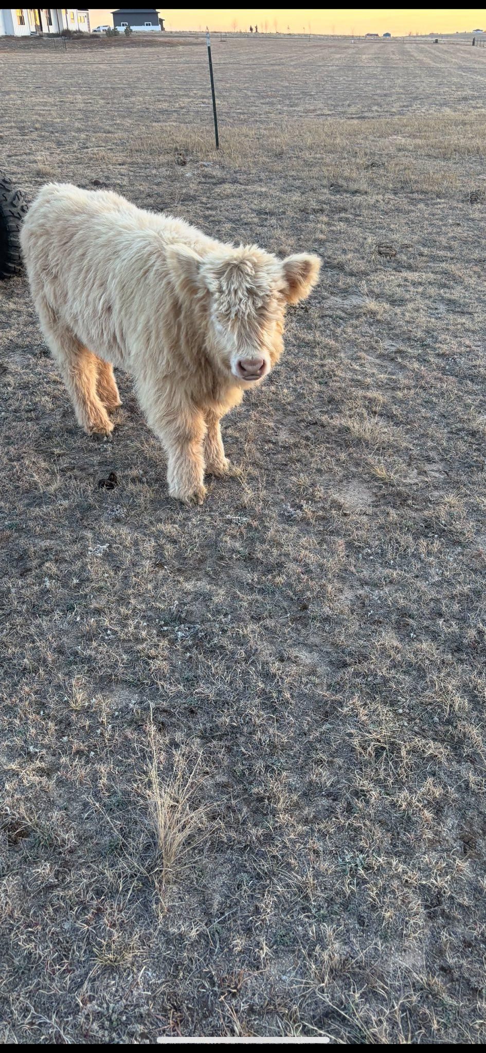  for High Plains Home and Ranch Services in Peyton, CO