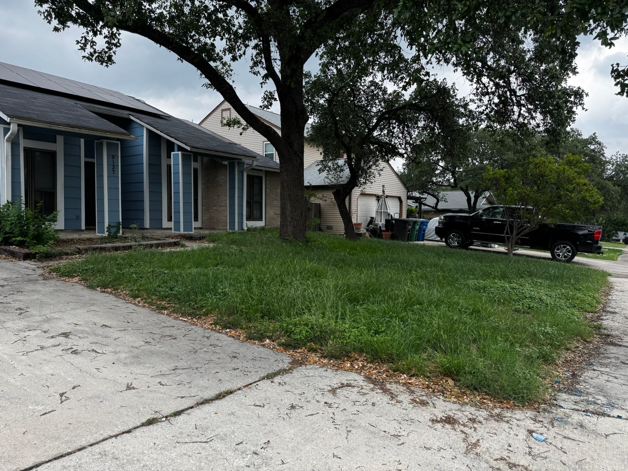 Lawn & Landscaping for Exellent lawn services in San Antonio, TX