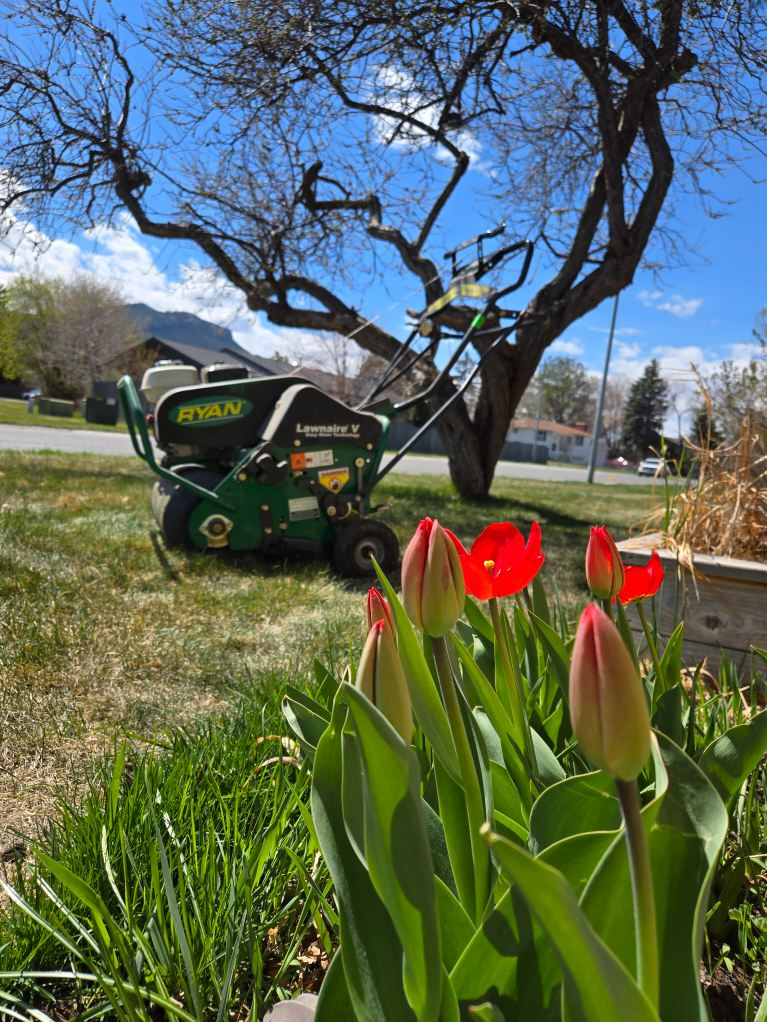  for Eagle Bay Lawn & Landscape LLC in Helena, MT