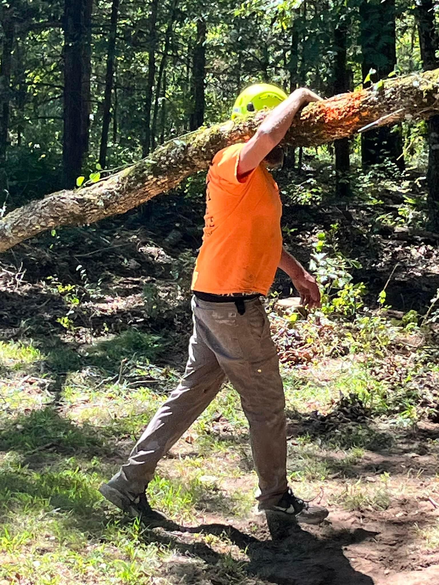  for H n H Tree Service in Taneyville, MO