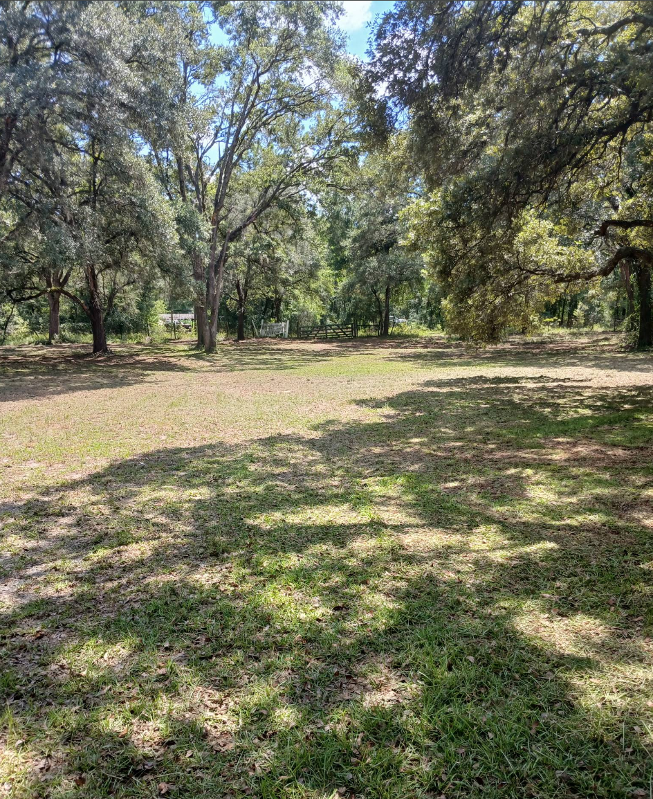 All Photos for Aztec Land Destroyers LLC in Ocala, FL
