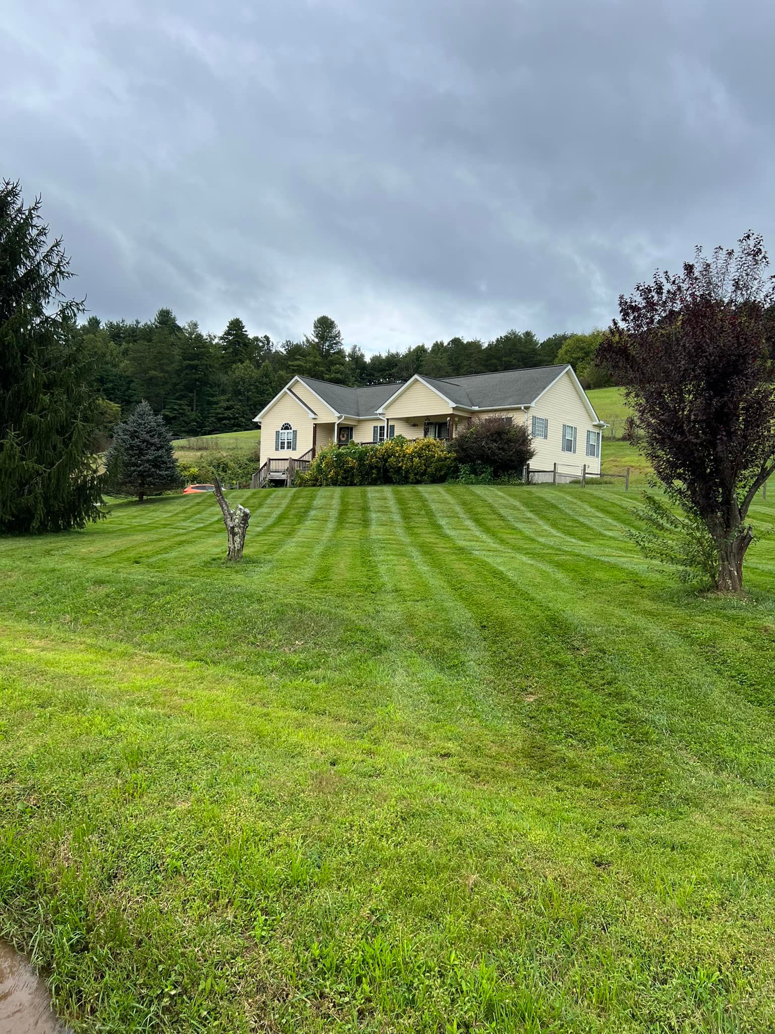 All Photos for SkyLimit LawnCare in Asheville, NC