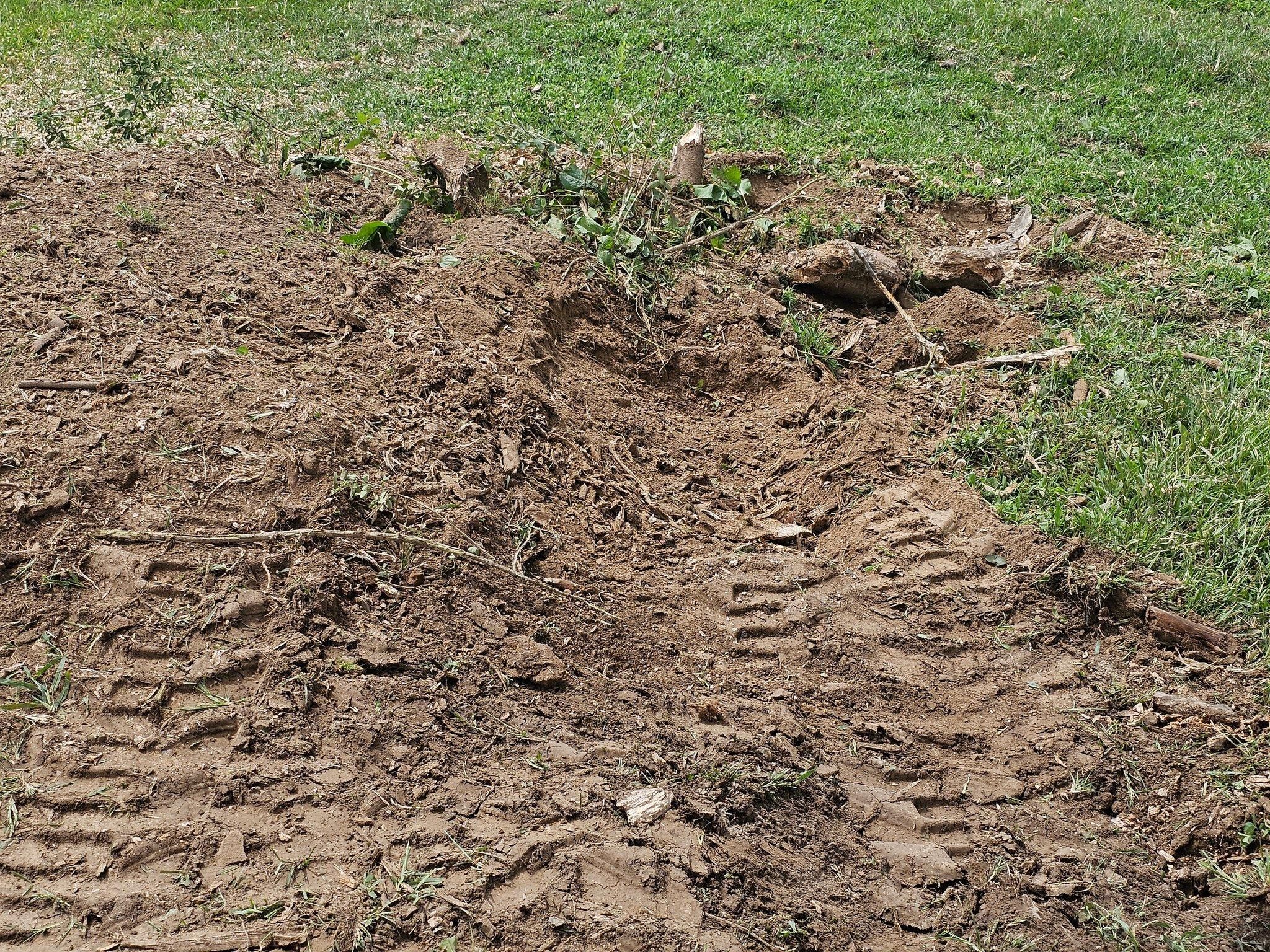  for I and R Stump Grinding in Thornville, OH