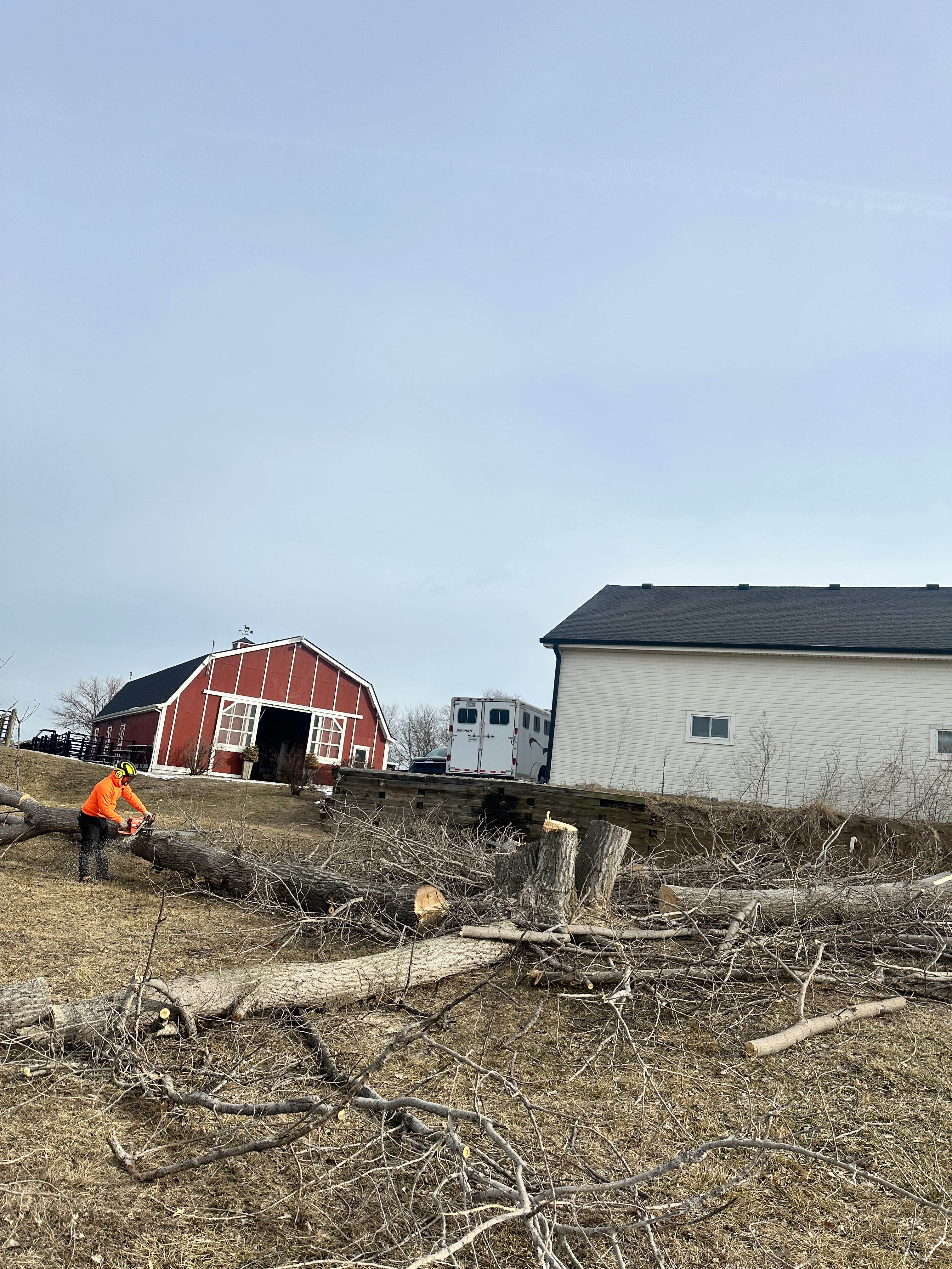 All Photos for Cross Family Tree Service in Kearney, MO