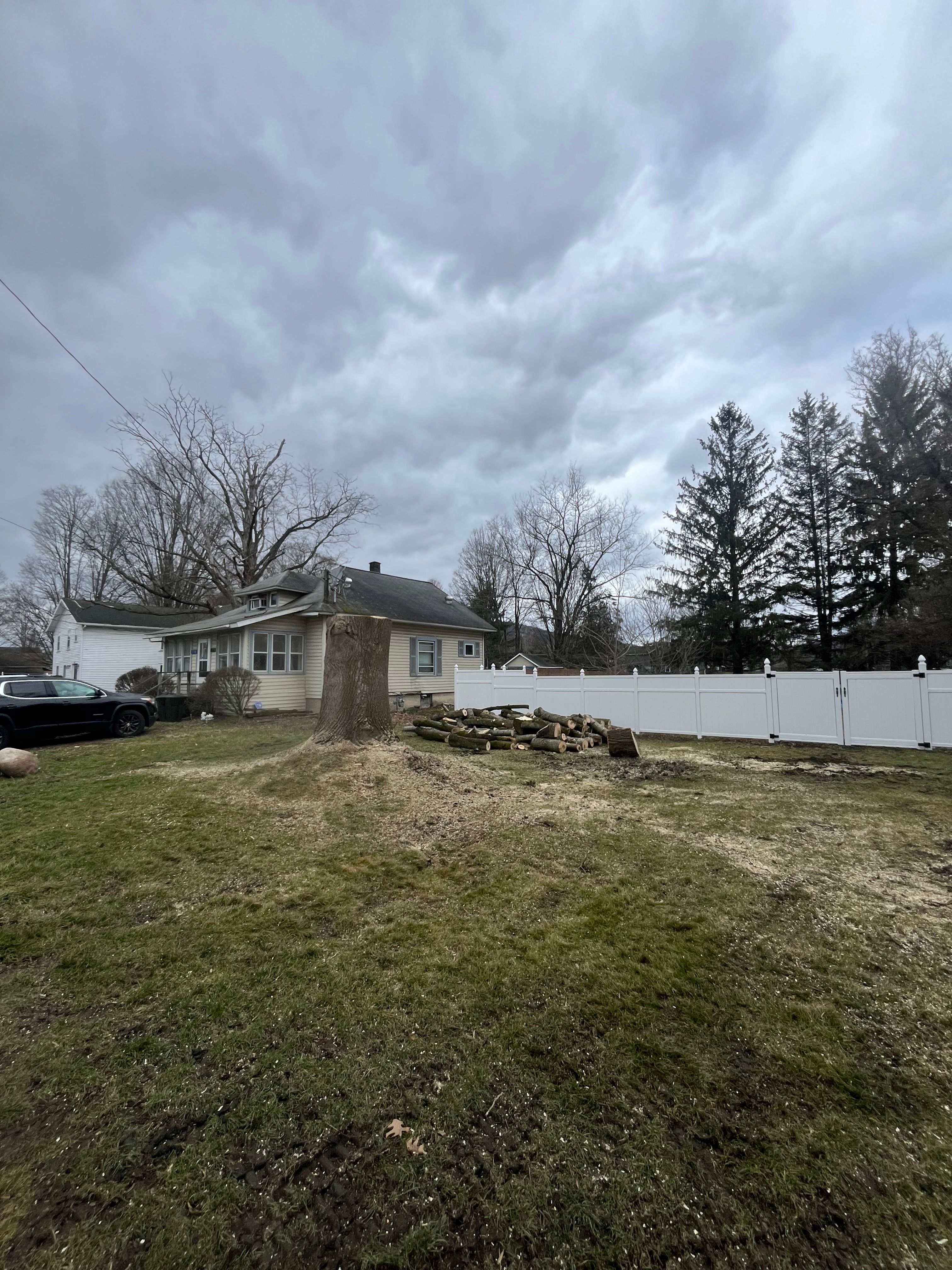 All Photos for Licensed to Cut Tree Service in Athens, PA