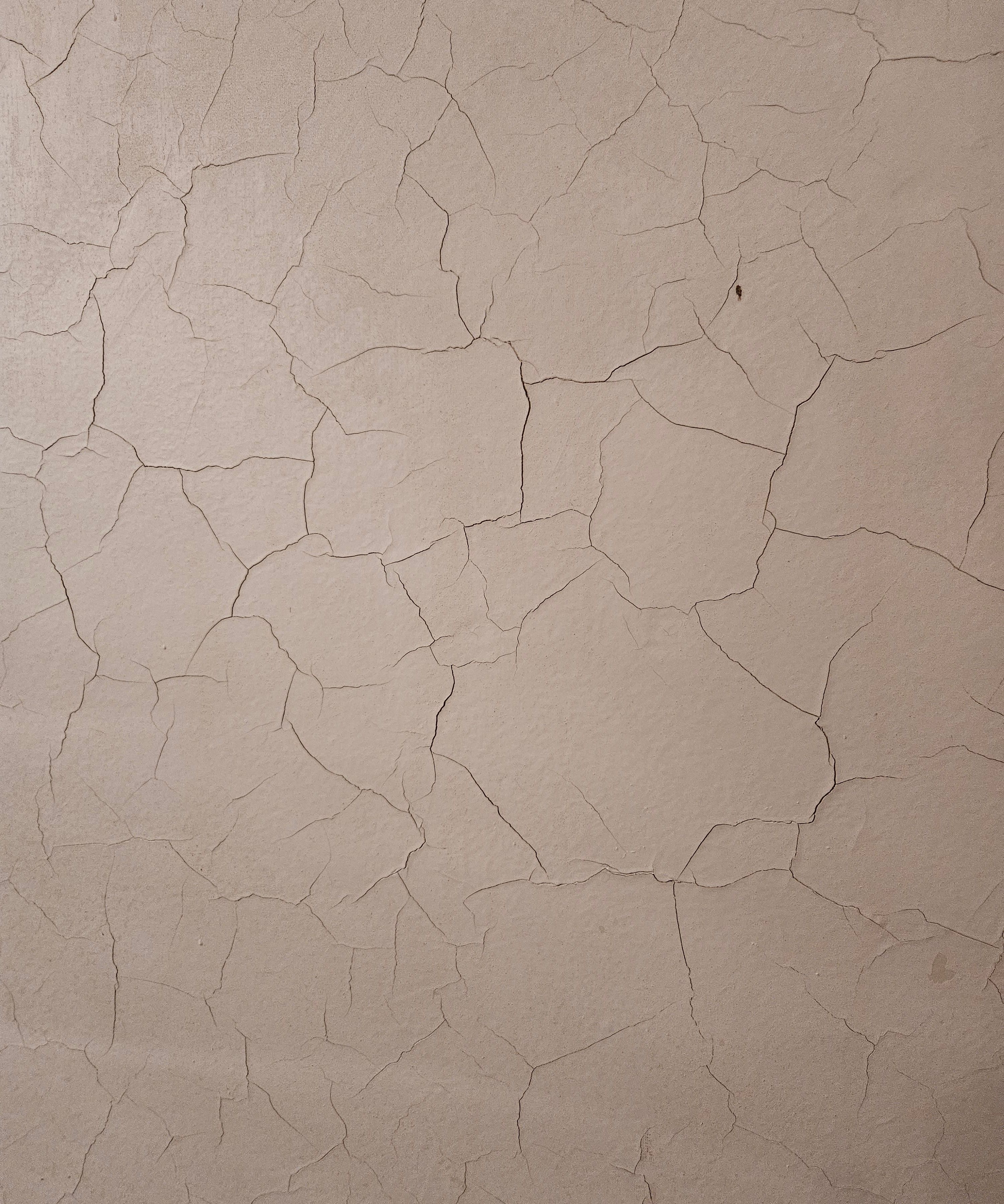  for Painting & Drywall Services of Michigan in Livonia, MI