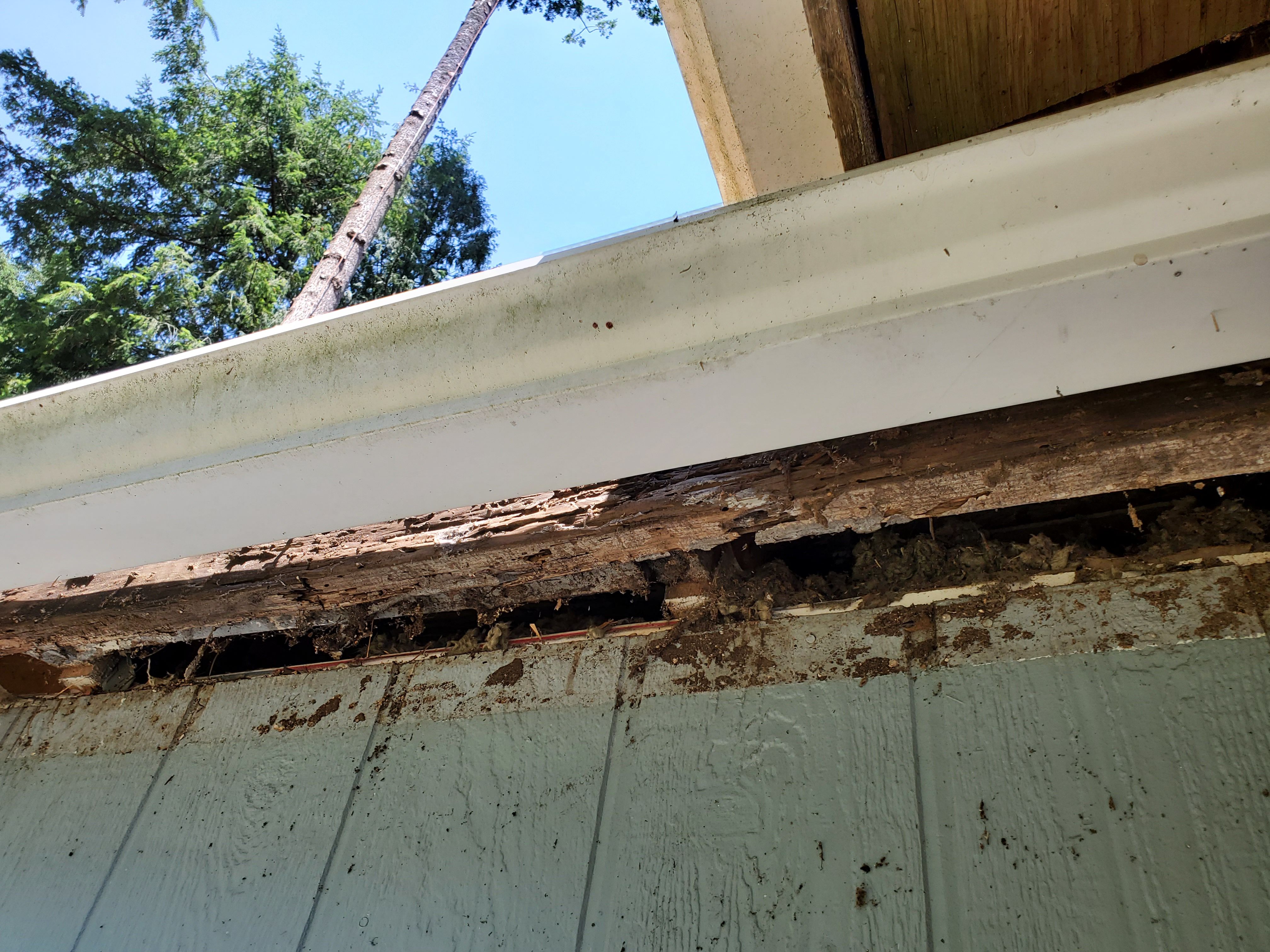  for Home Pros in Maple Falls, WA