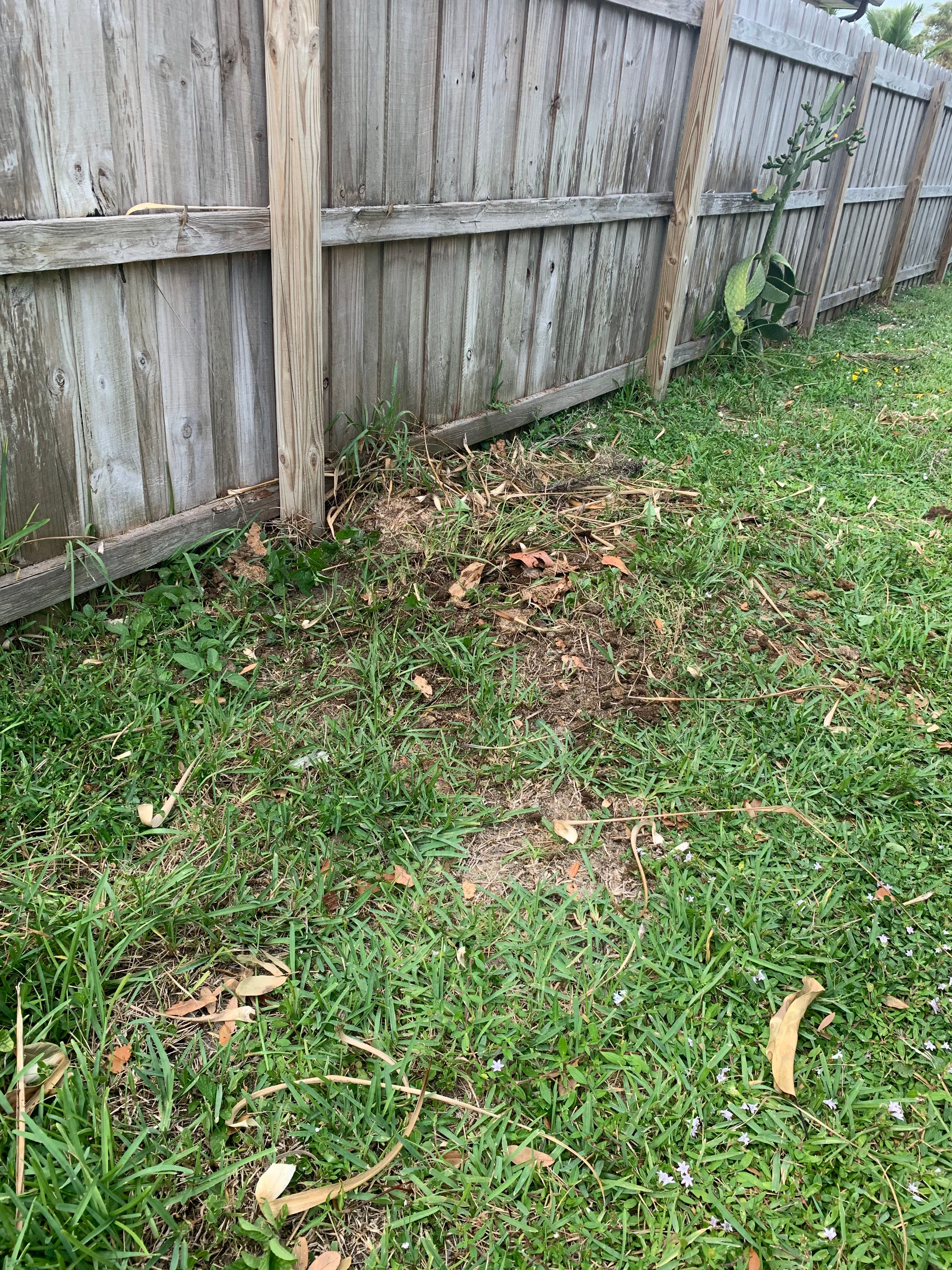  for Space Coast Property Maintenance and Management LLC in Melbourne, FL