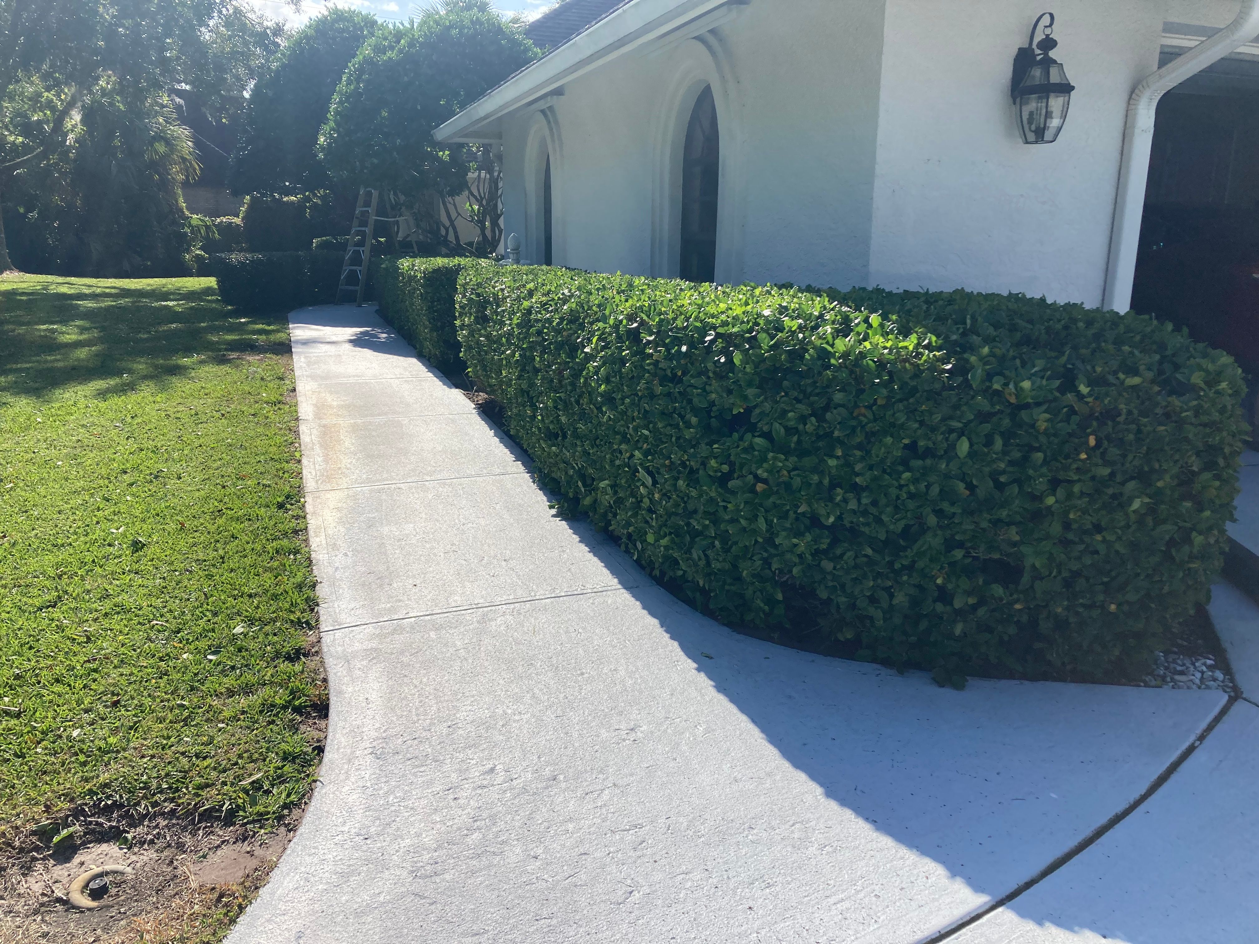 All Photos for Impressive Lawns 321 LLC in Titusville, FL