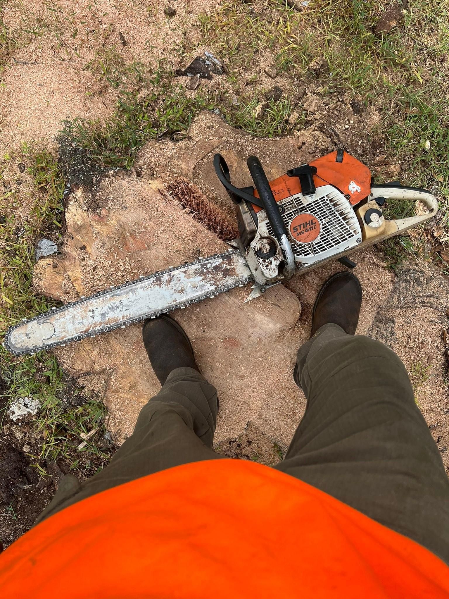  for Bills Tree Service in Valrico, FL